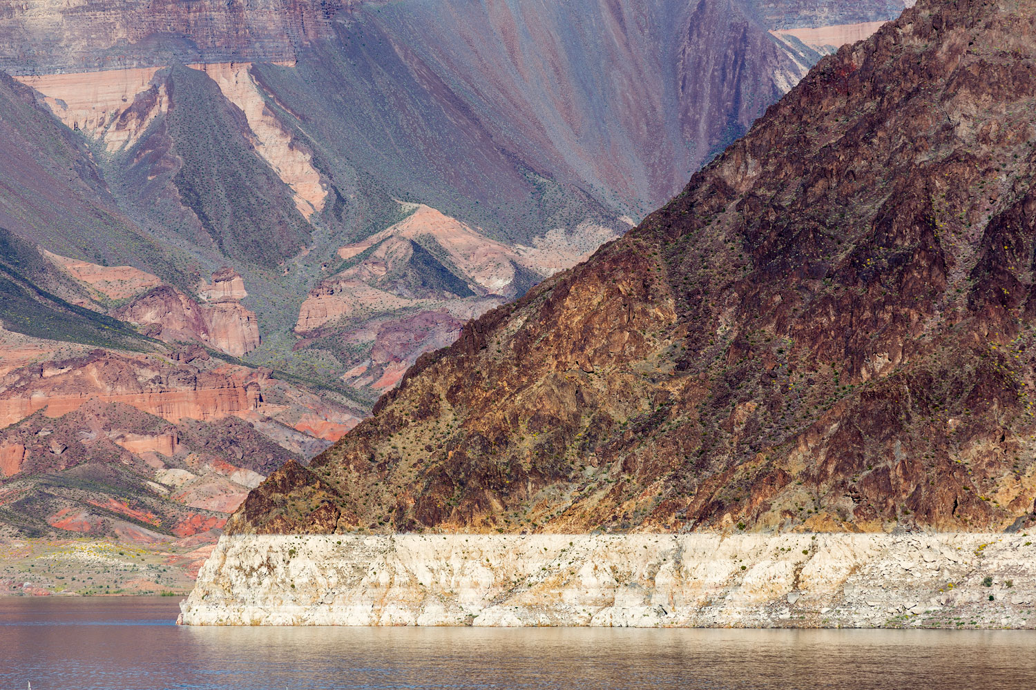 High Water Mark, Lake Mead, NV, Study #1. 2019 (36°2'11.718" N 114°46'51.918" W