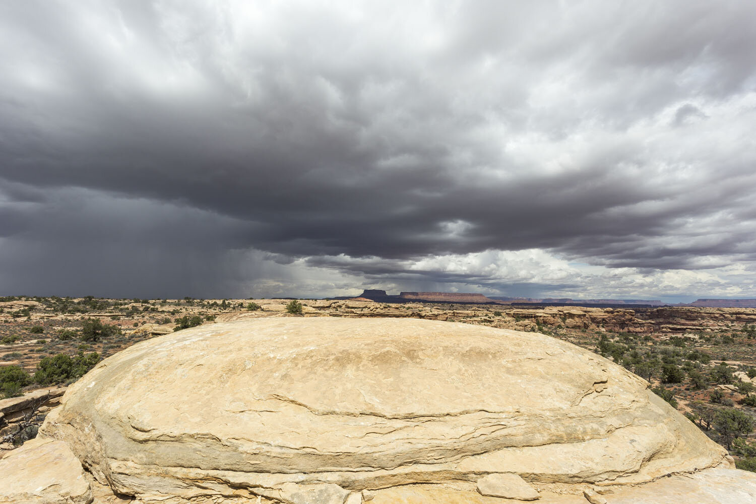 Approaching Shower, Big Spring Canyon. Canyonlands National Park, UT.  2015