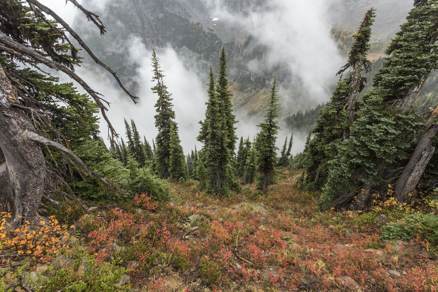 Maple Pass. North Cascades National Park, WA. 2016