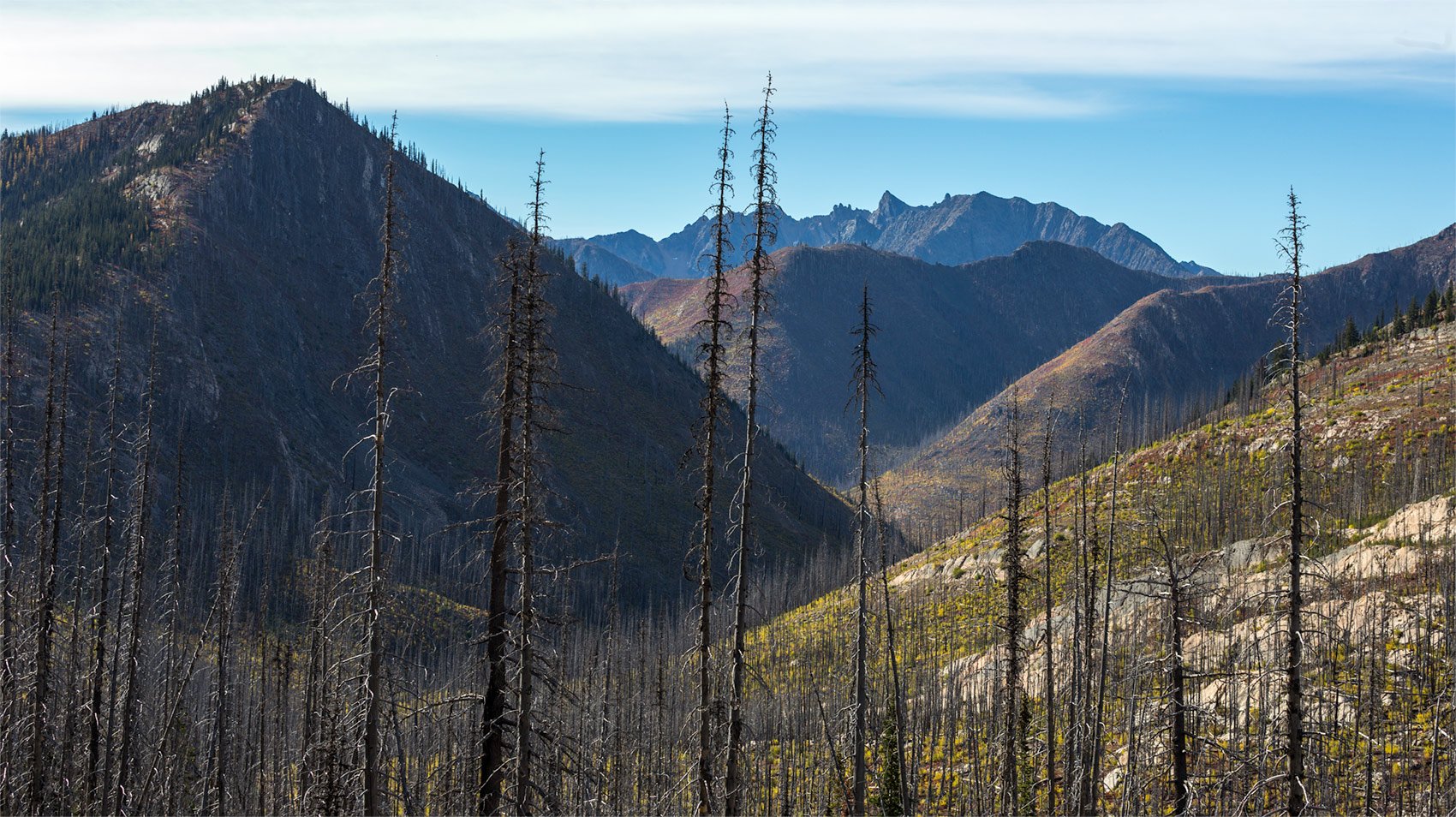 North Cascades Burn Scar. Study #1. North Cascades National Park. WA. 2018