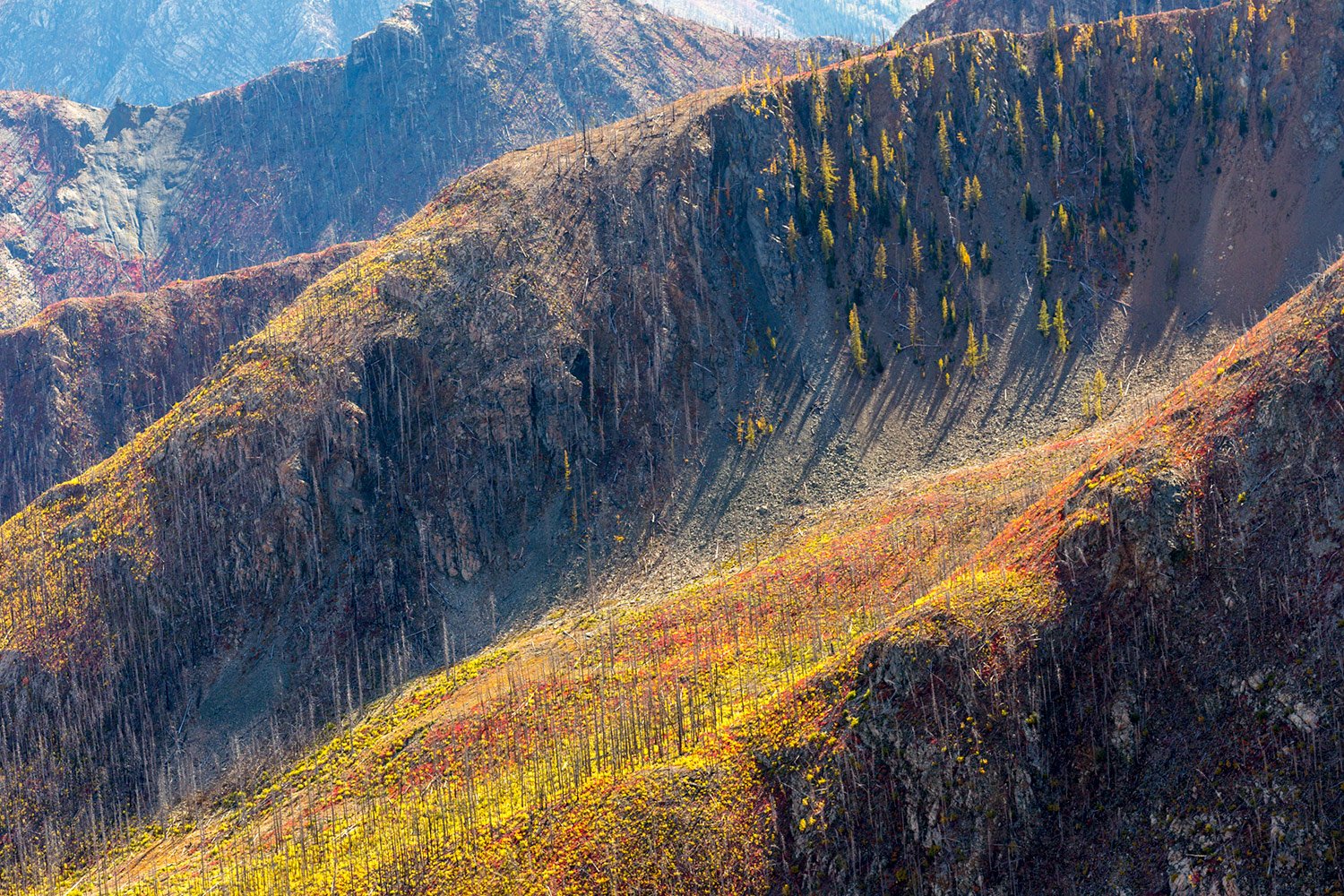 North Cascades Burn Scar. Study #3. North Cascades National Park. WA. 2018