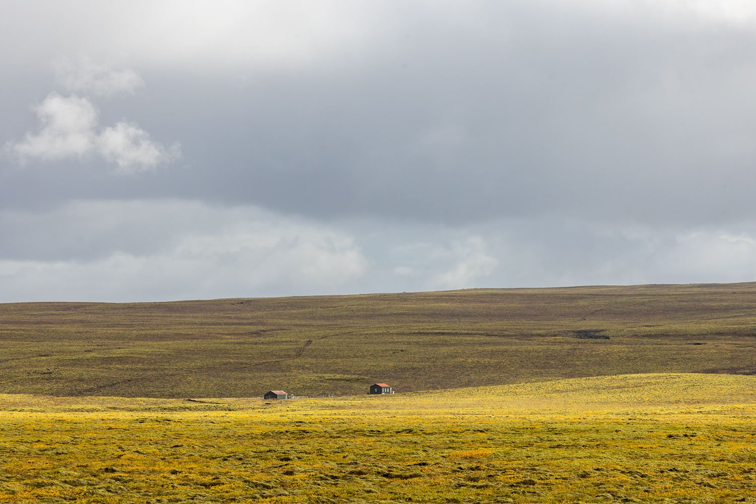 Thingvellir Valley. Thingvellir National Park. Iceland, 2022