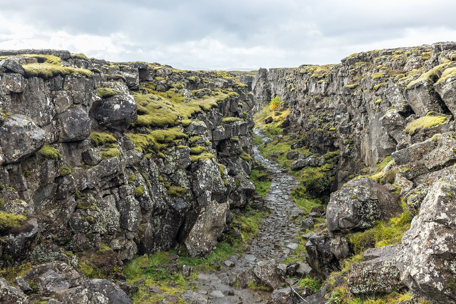 Continental Rift 2. Thingvellir National Park. Iceland, 2022