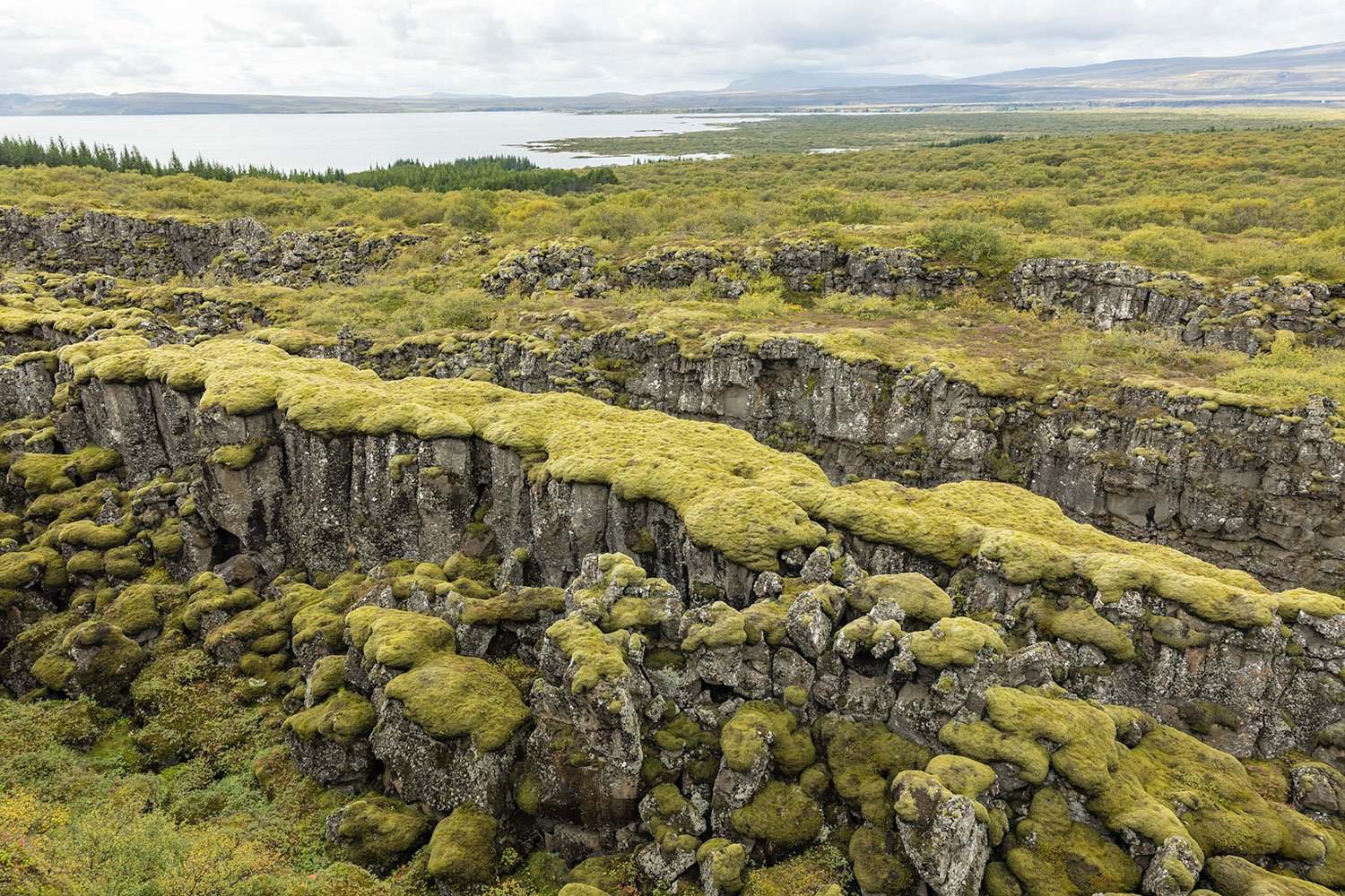 Volcanic Fissures, Lake Þingvallavatn. Thingvellir National Park. Iceland, 2022