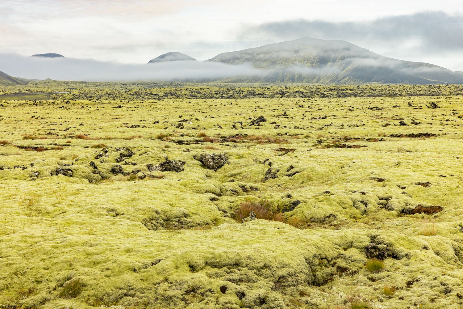 Moss Covered Lava Flow. Hveradalir Geothermal Area. Iceland, 2022