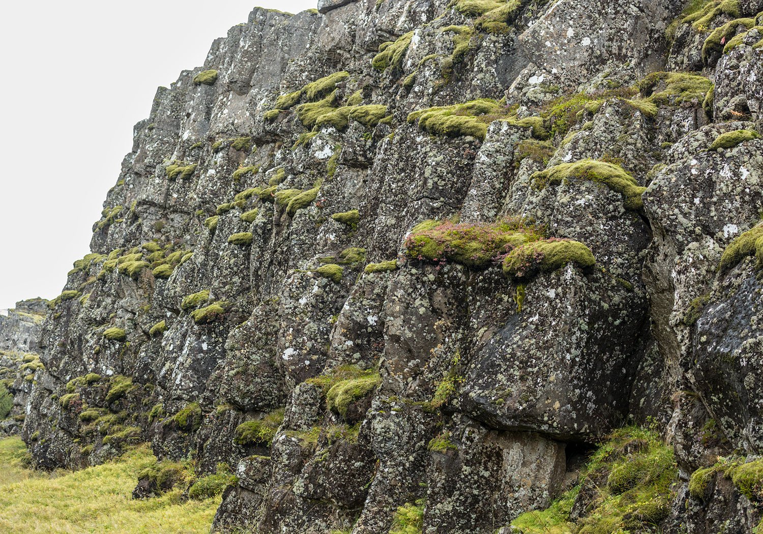 Basalt Walls of the Continental Rift. Thingvellir National Park. Iceland, 2022