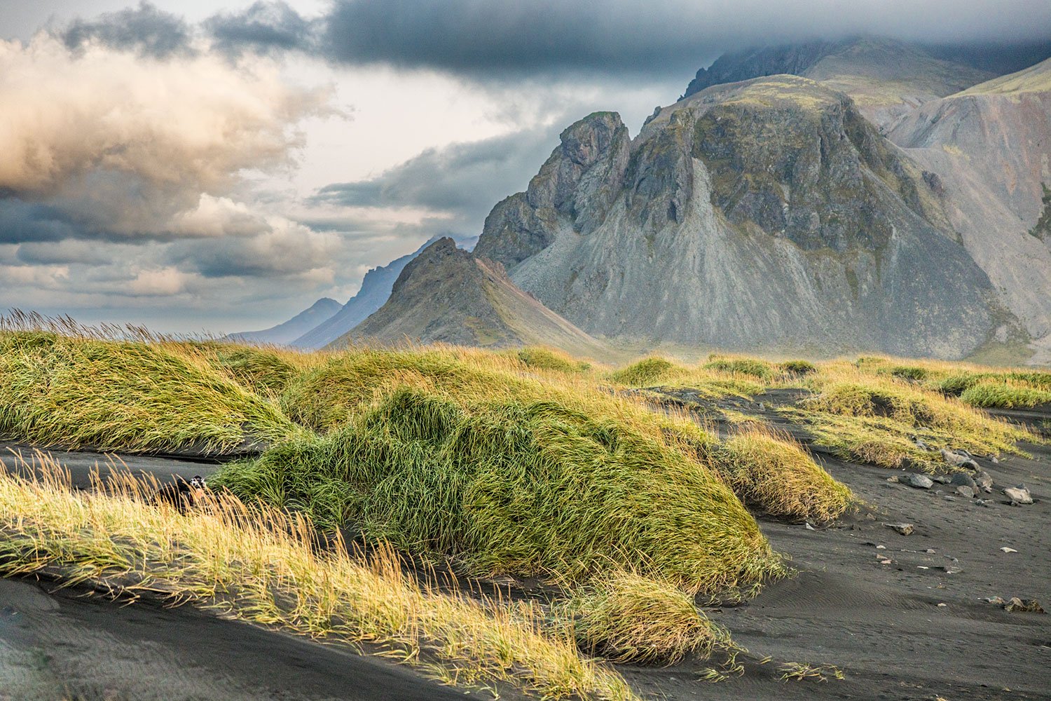 Sea Grass & Mountain. Vestrahorn, Stokknes Peninsula. Iceland. 2022