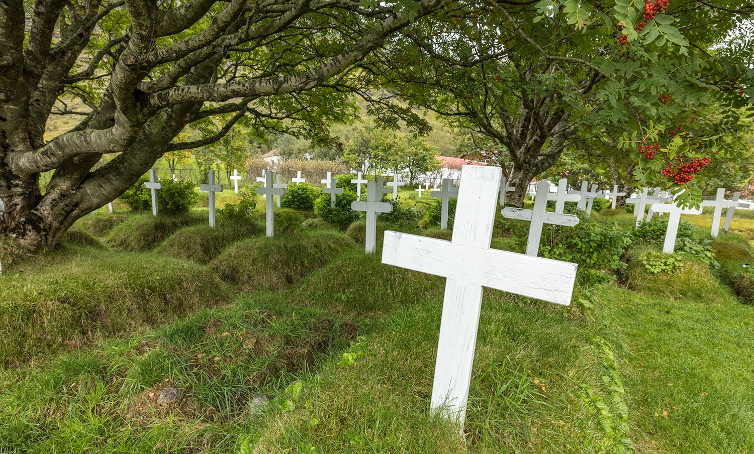 Graves. Hofskirkja Turf Church. Iceland, 2022