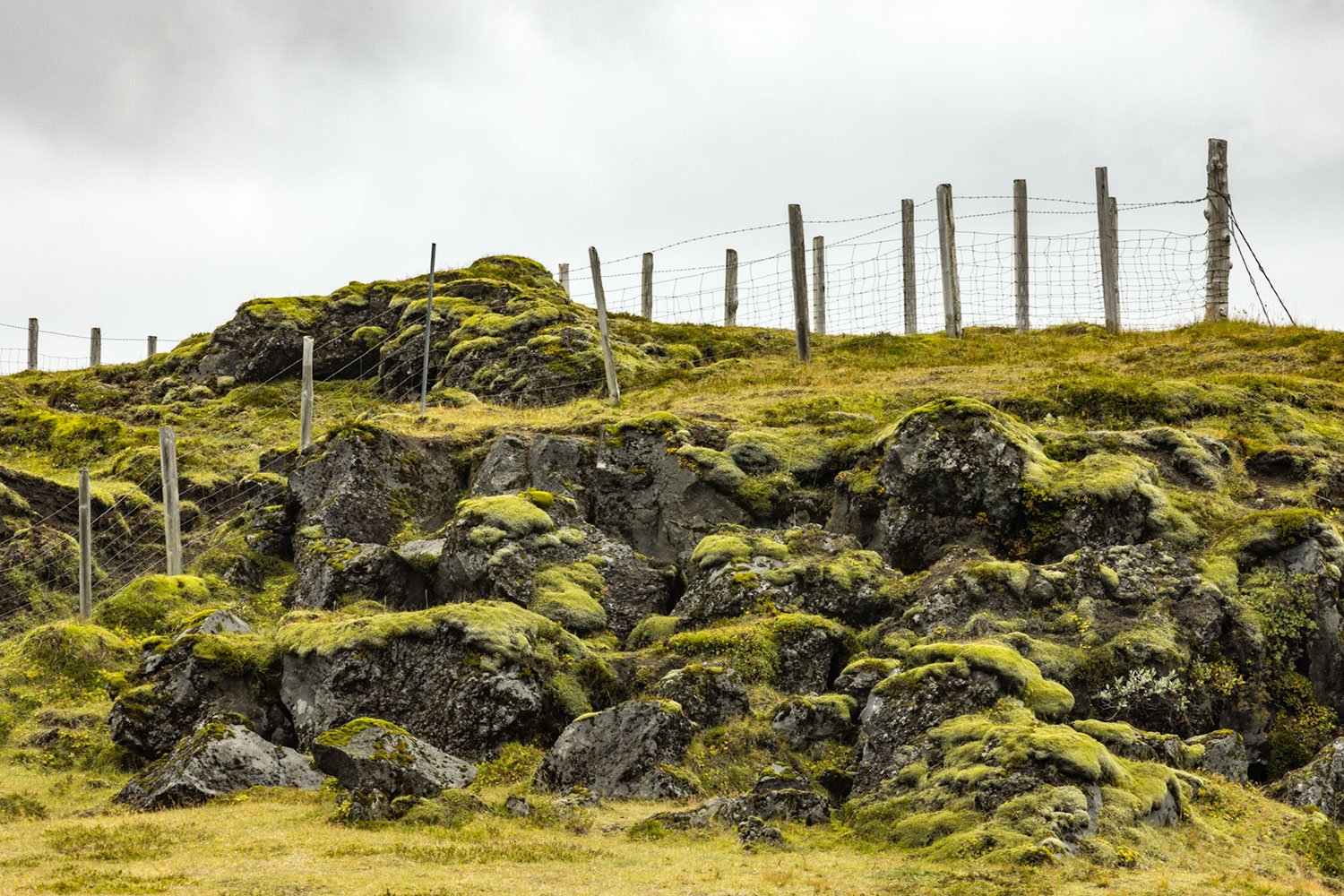 Fence Line. West Highlands, Iceland, 2022