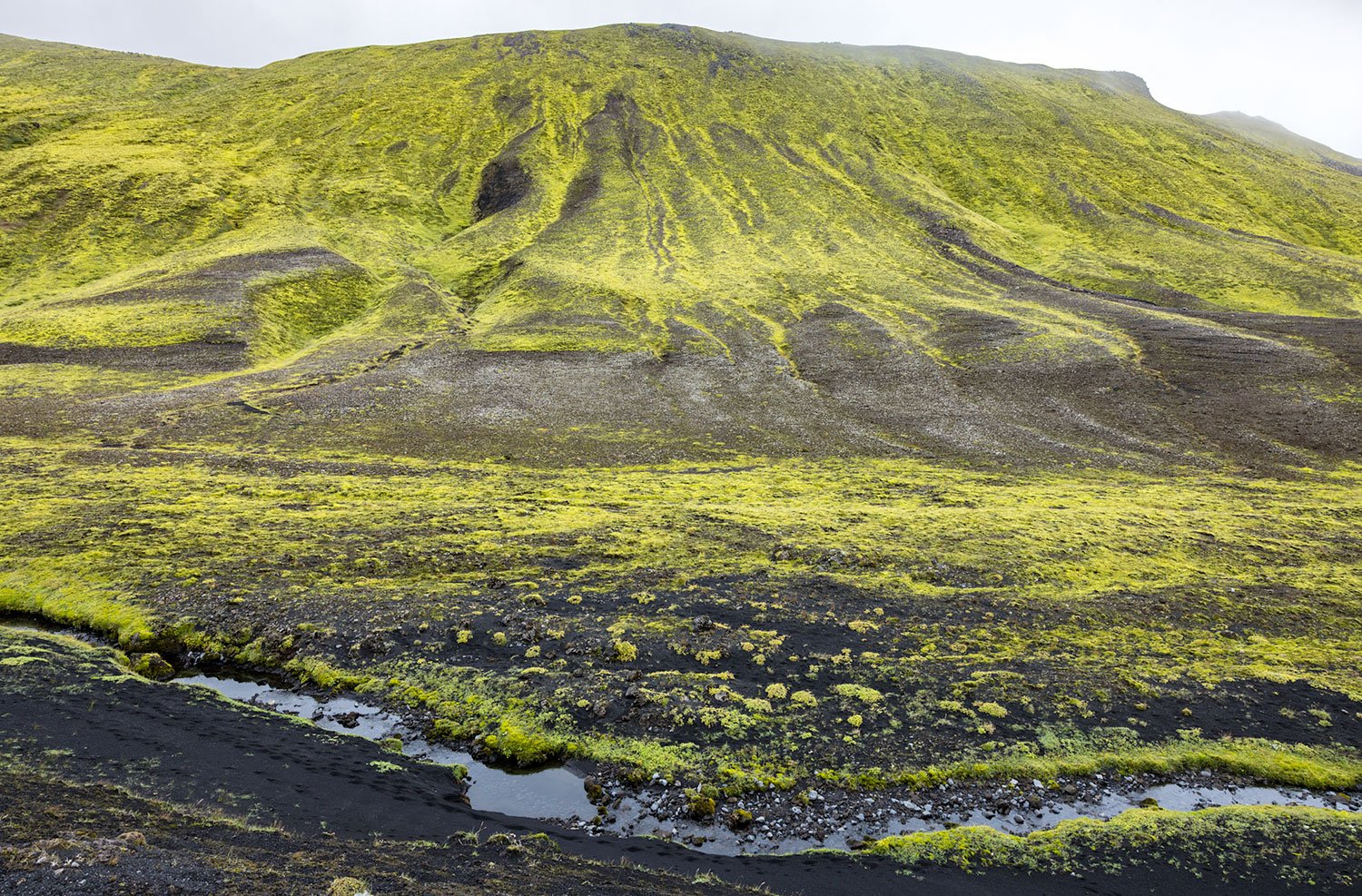 Volcanic Hills & Moss. Western Highlands, Iceland. 2022
