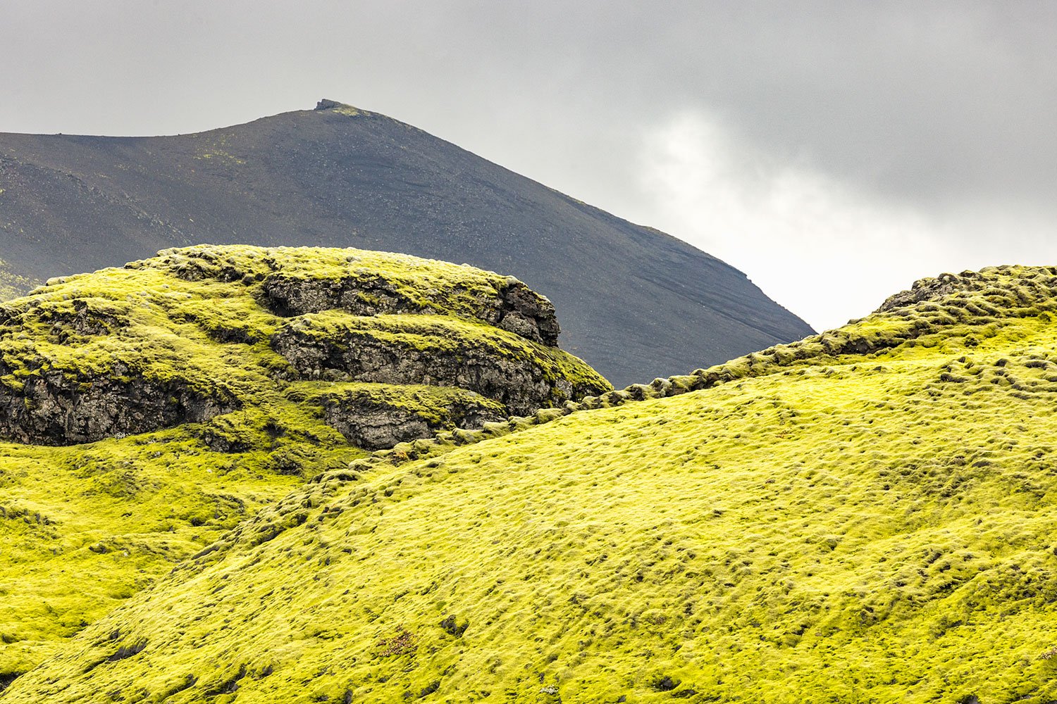 Moss Covered Lava. Western Highlands, Iceland. 2022