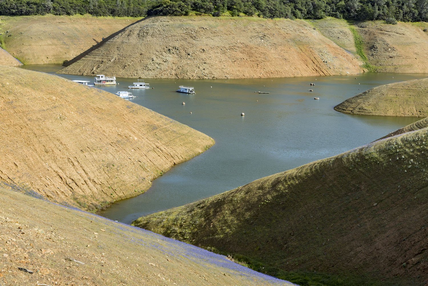 High Water Mark, Oroville Lake Reservoir.  Study #2. Oroville, CA. 2022 (39°31'55.02" N 121°27'24.756" W)