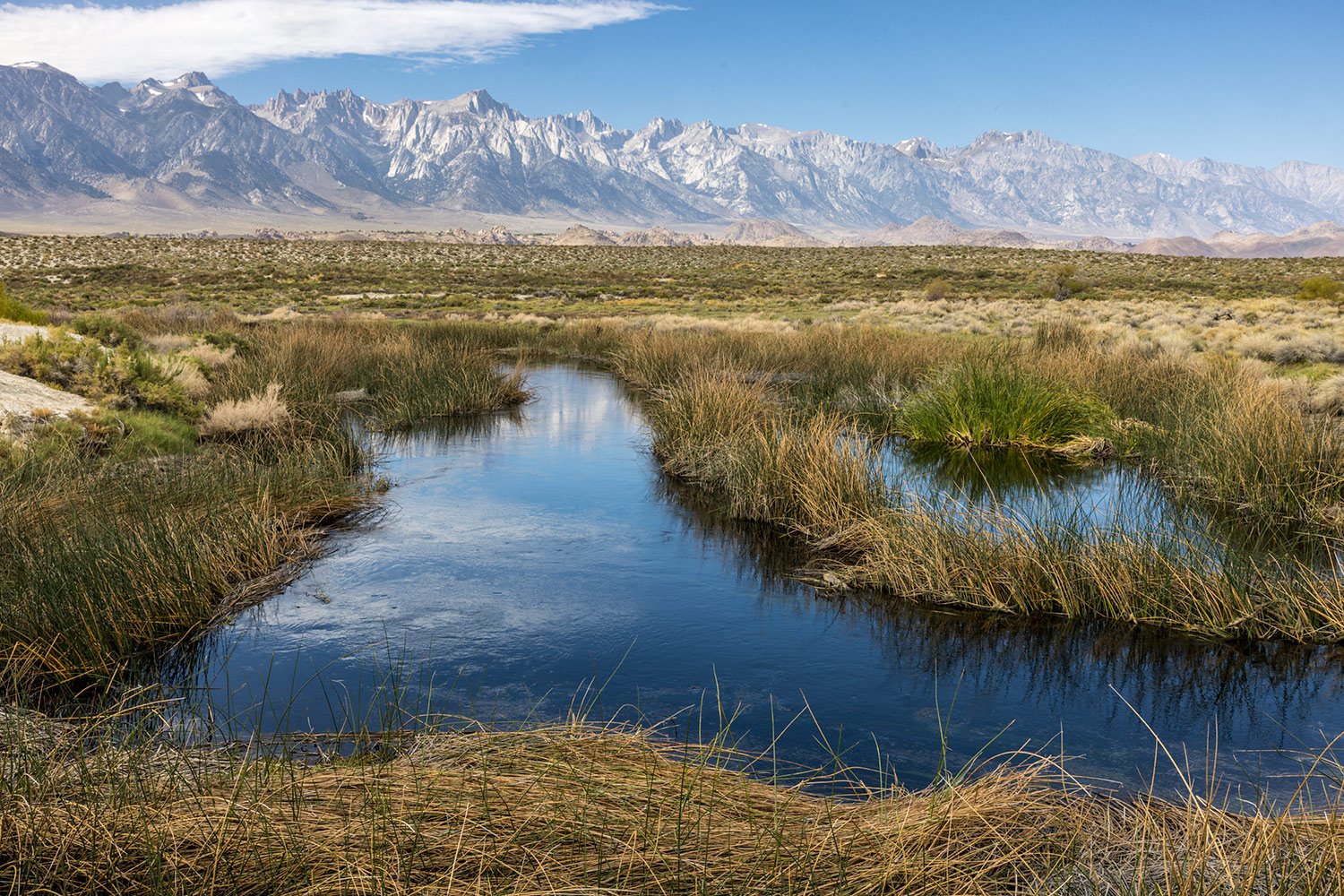 Owens Lake/River & Sierra's. Lone Pine, CA. Study #9. 2023 ( 36°33'30.76"N 117°59'25.34"W)