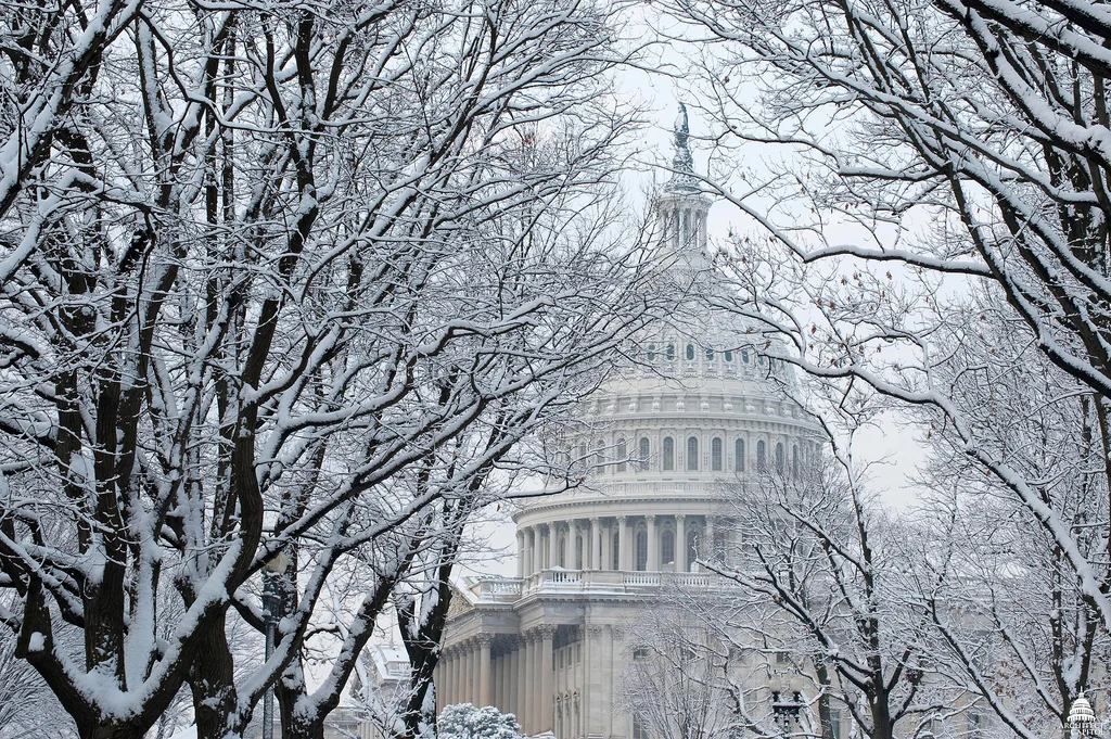 Dome Snow.jpg
