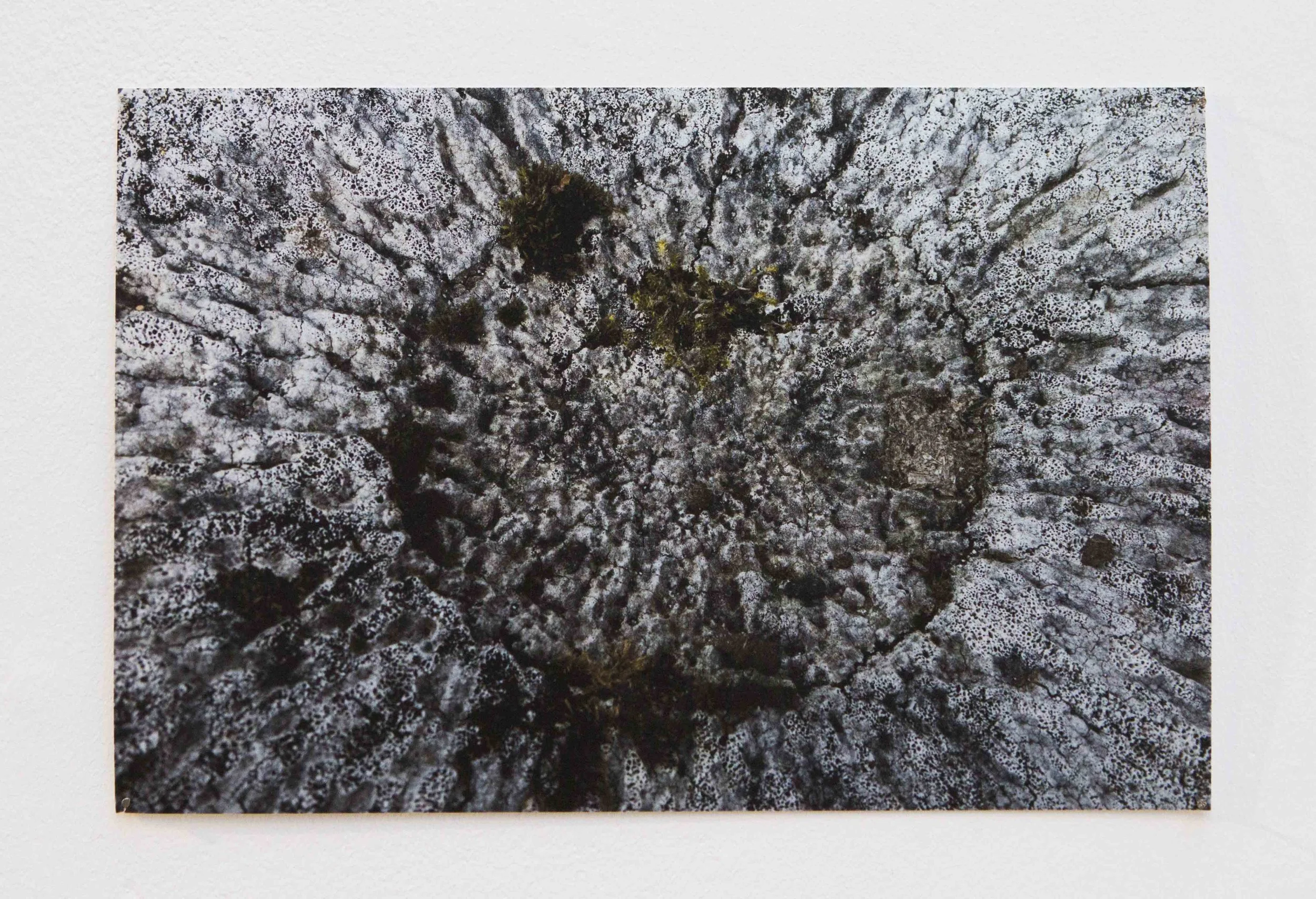 Ng Hui Hsien, 2018. Photo, Sound Installation. Arctic 70ºN