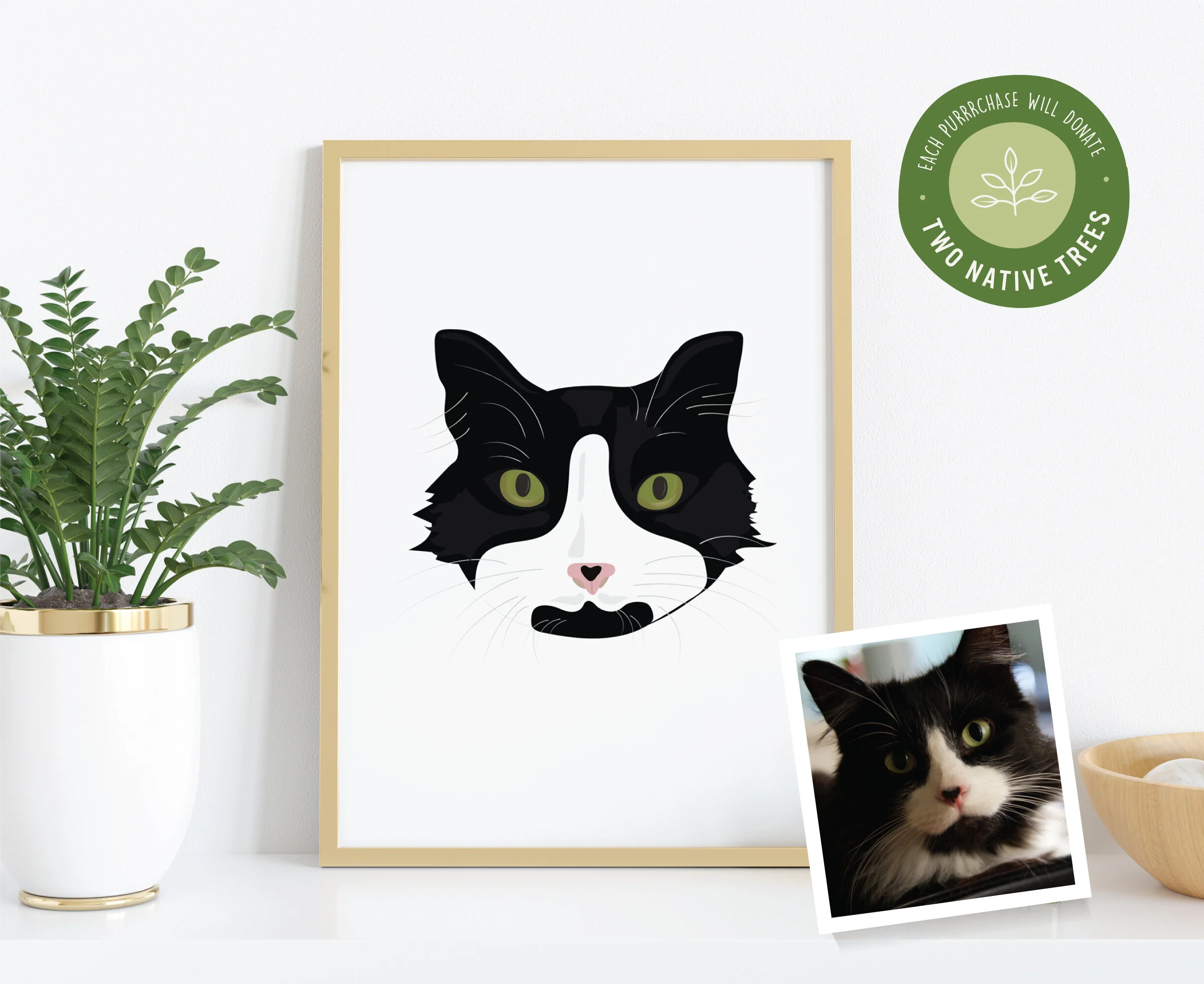 Plain-Cat-Face_product-hero.jpg