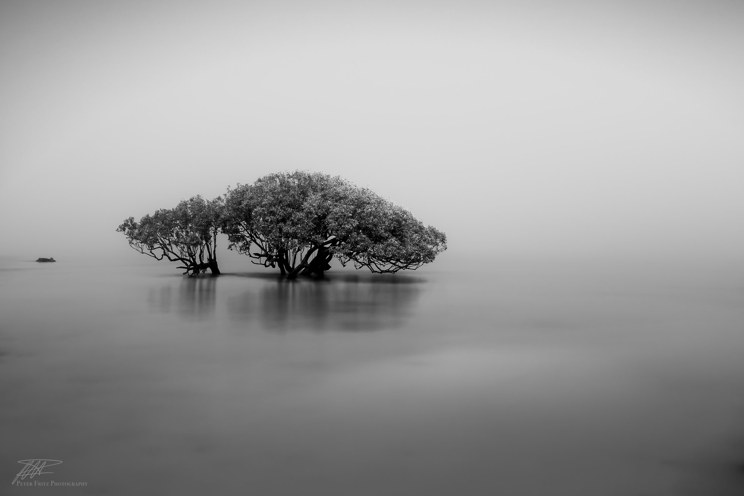 Isolated by the Fog 3x2.jpg