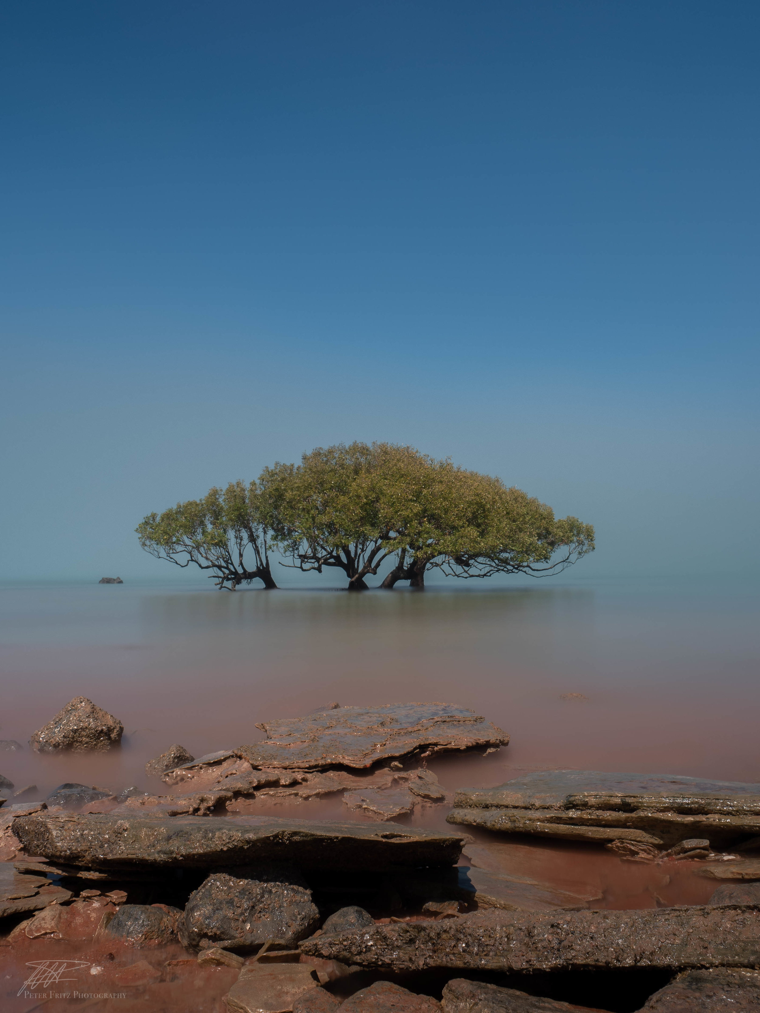 Alone in the Fog colour 4x3web.jpg