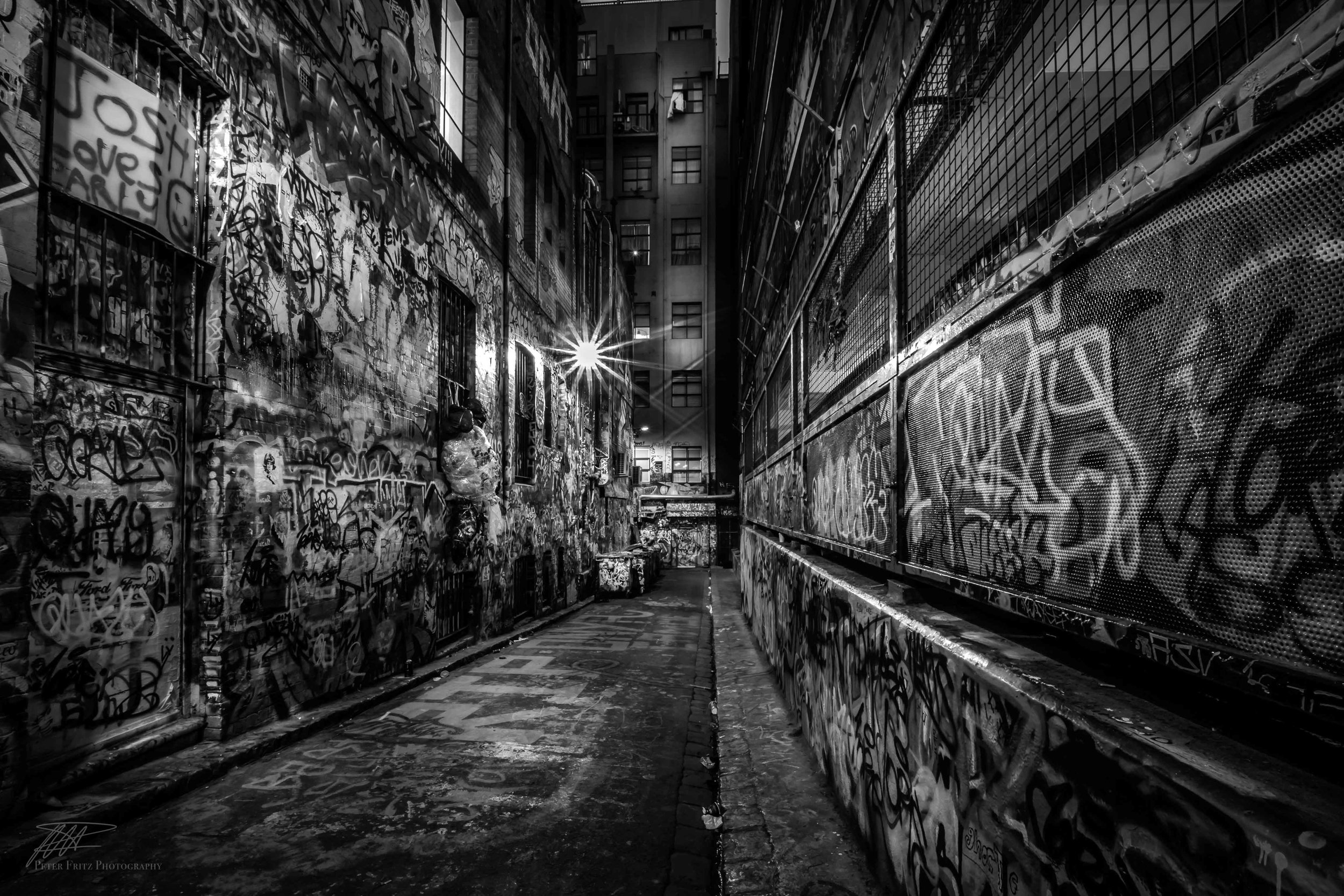 Rutledge Lane canvas bw.jpg