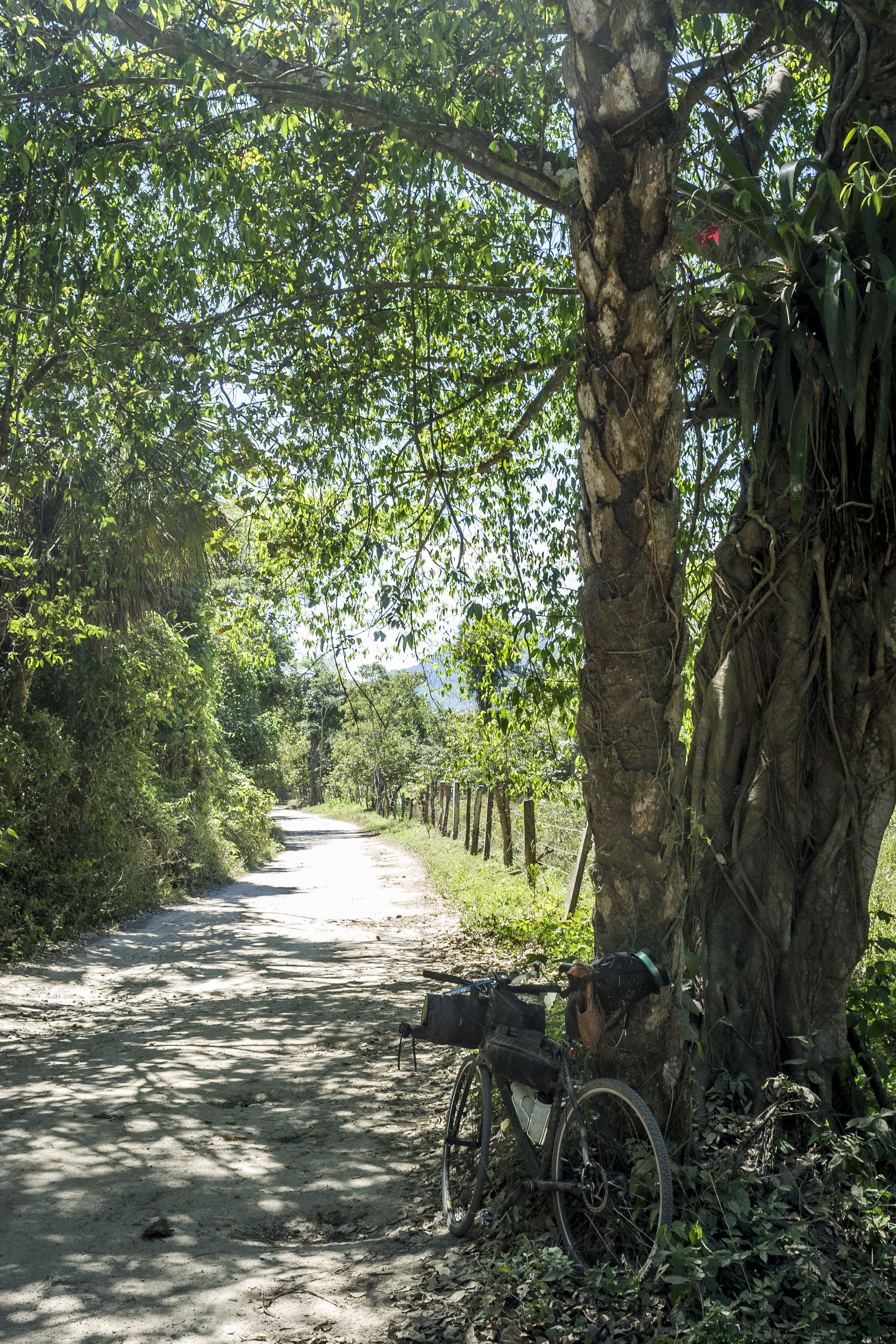 mx_jalisco_adventure_bikepacking_roberto_flores_buck_01.jpg