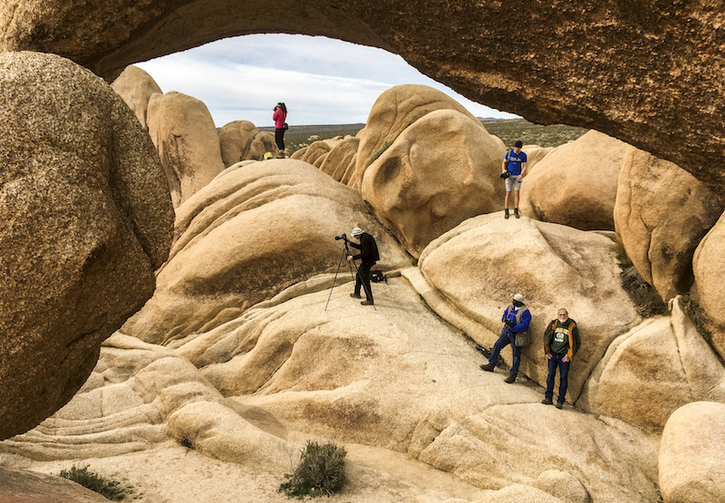 ca_joshua_tree_roberto_flores_buck_02 copy.jpg