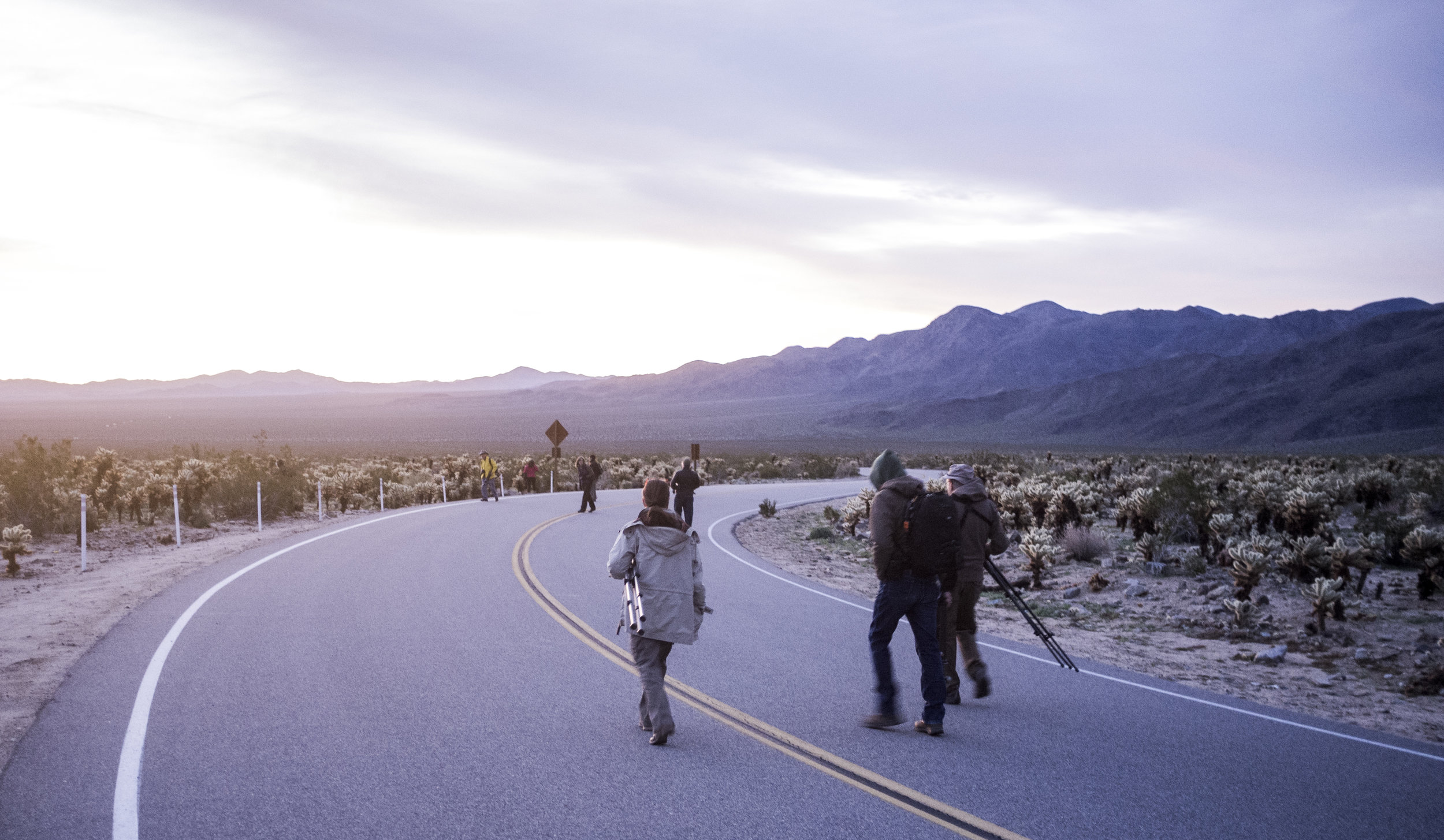 ca_joshua_tree_roberto_flores_buck_01.jpg