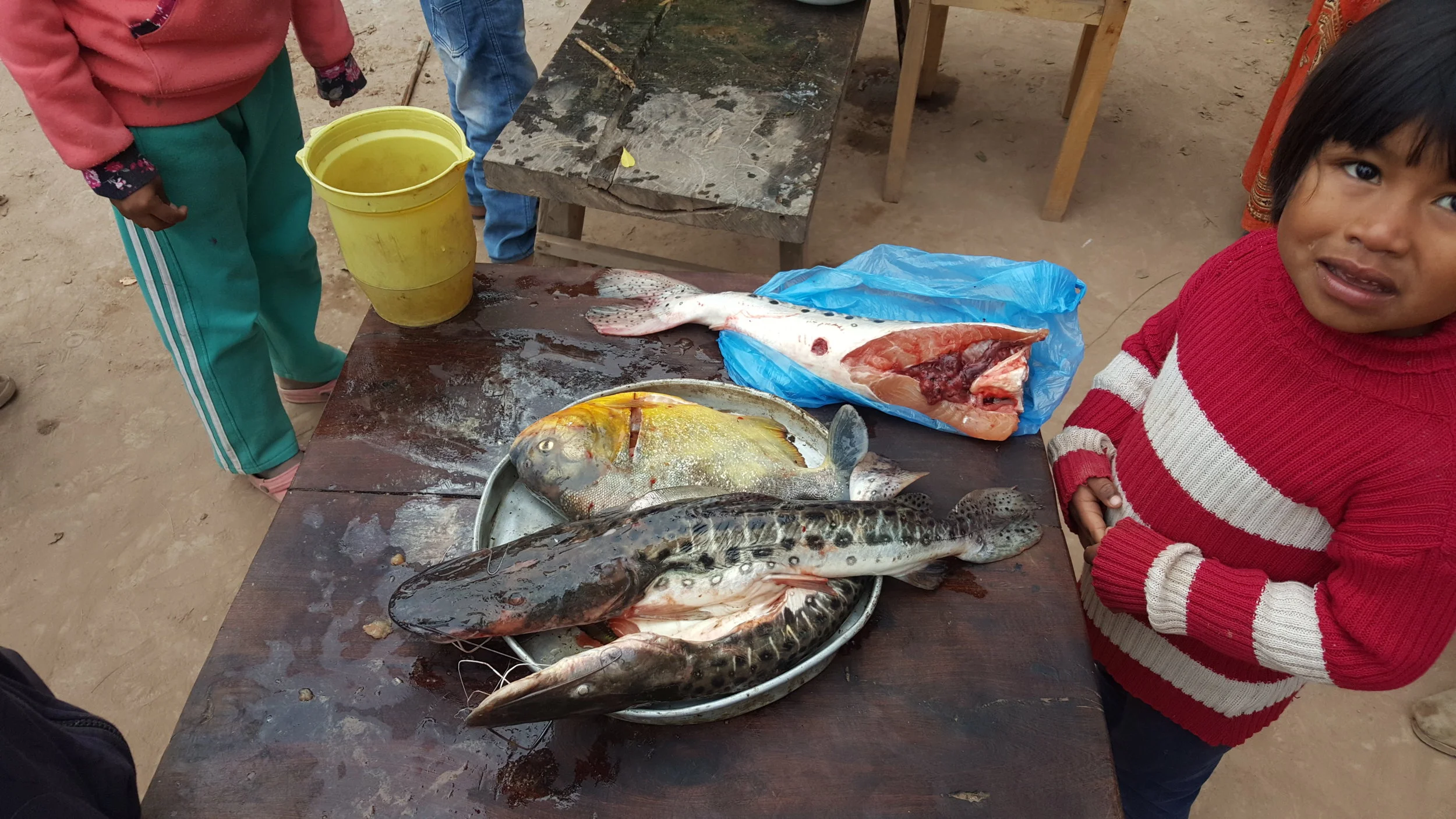 Llegó el pescado a Vaca Perdida! Summer 2018