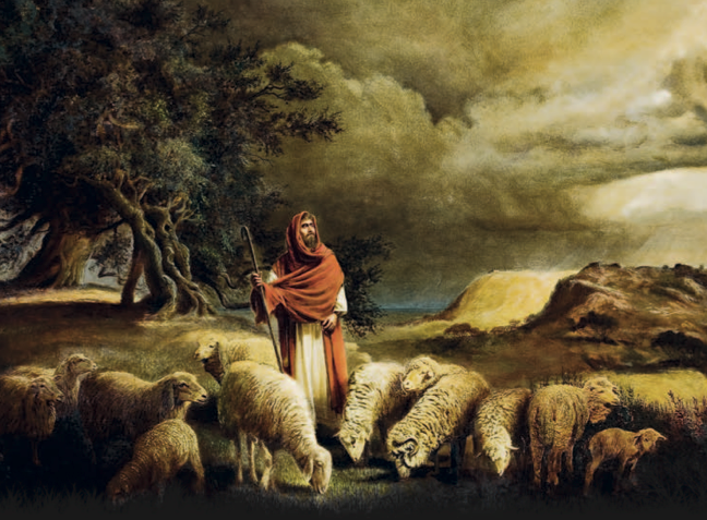 Sheep With A Shepherd
