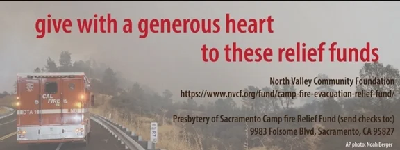 wildfire relief.jpg