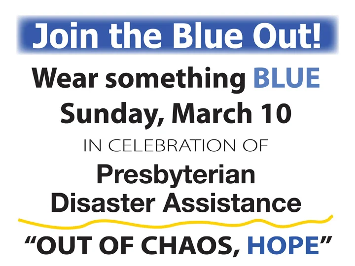 pda-2019-blue-out.jpg