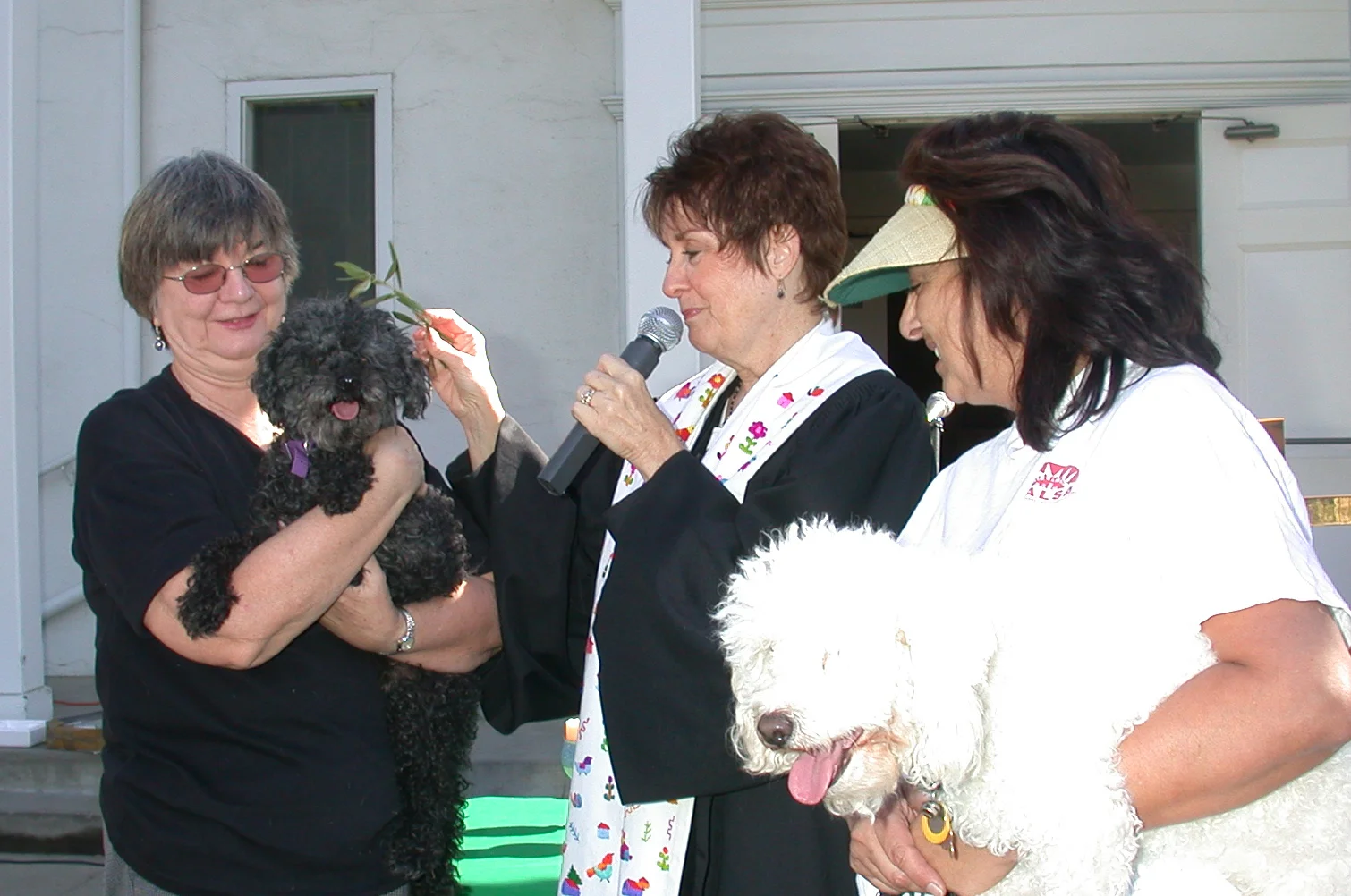 DSCN2461 blessing of animals.JPG