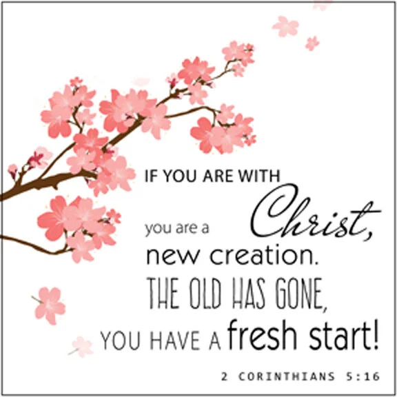 new-in-christ.jpg