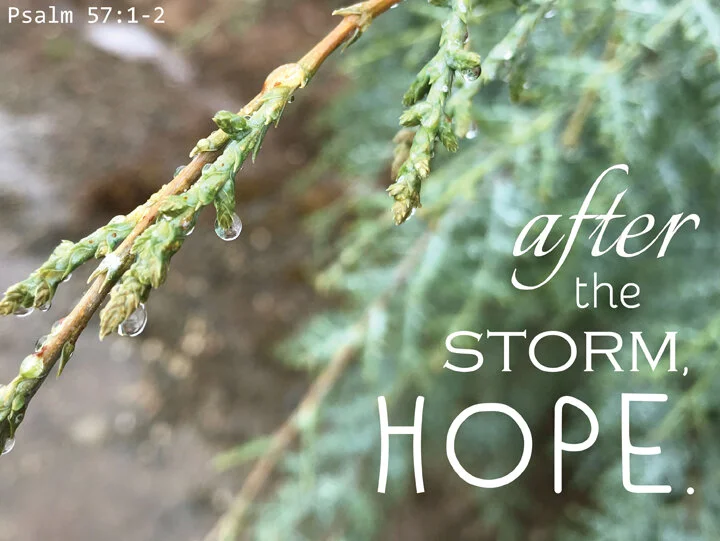 after-the-storm-hope.jpg