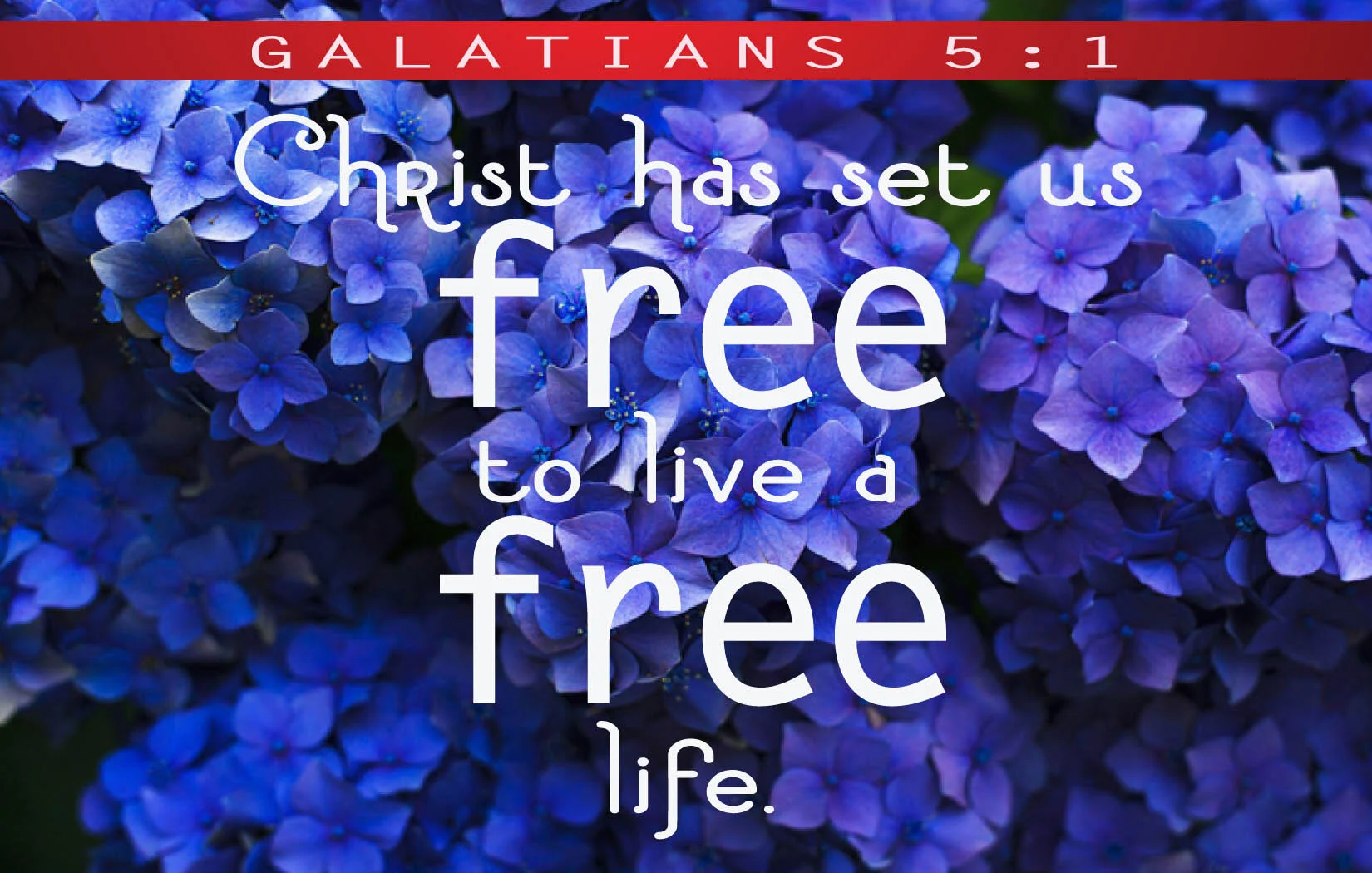 Sunday Service - July 5, 2020