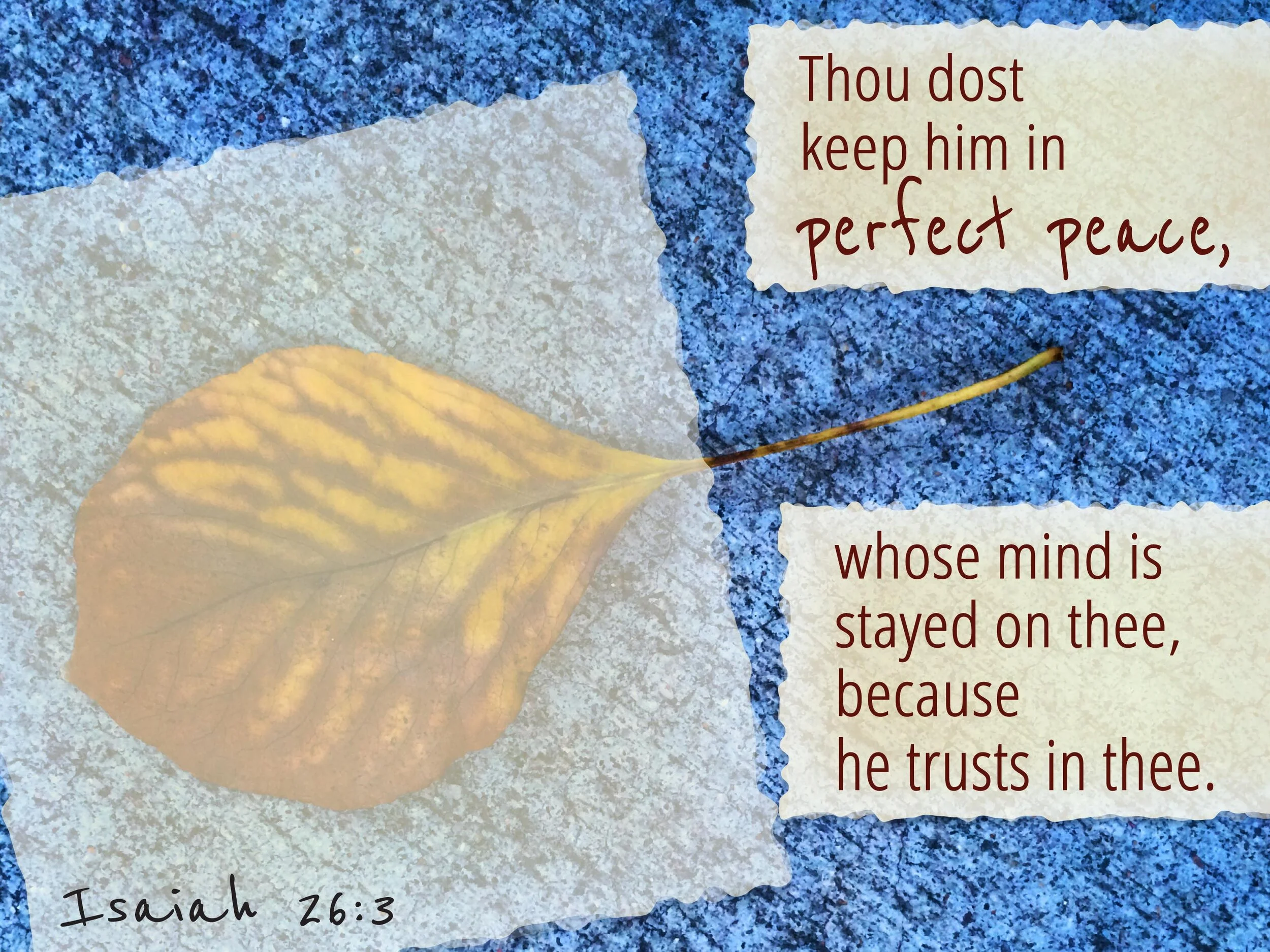 ... waving goodbye to summer and anticipating the beauty of fall.