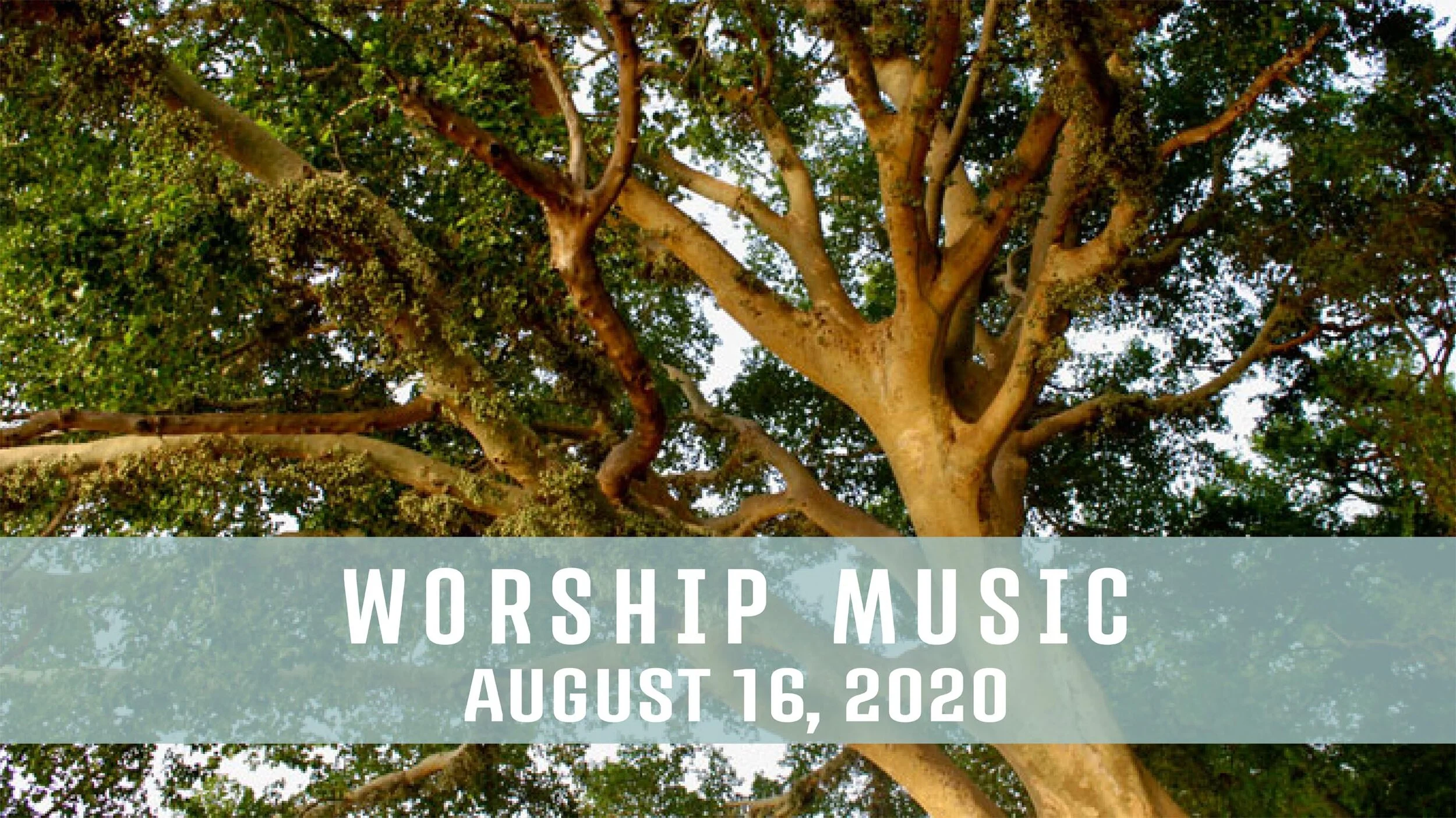 Worship Music • August 16, 2020