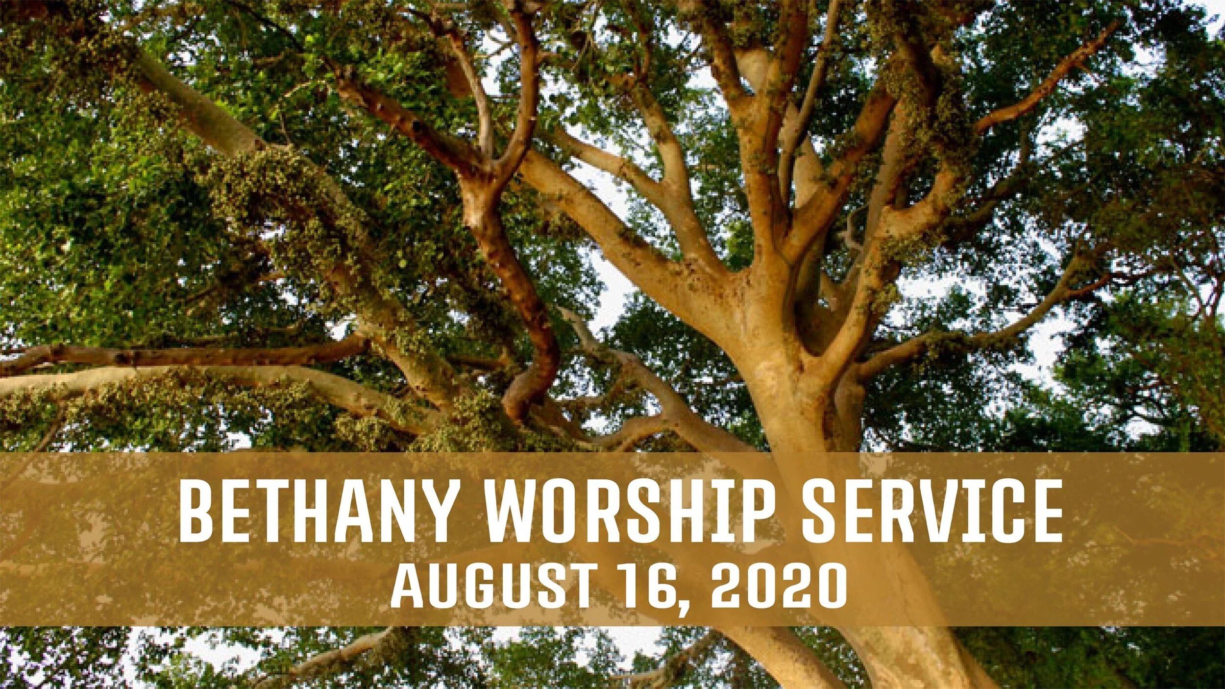 Sunday Service - August 16, 2020