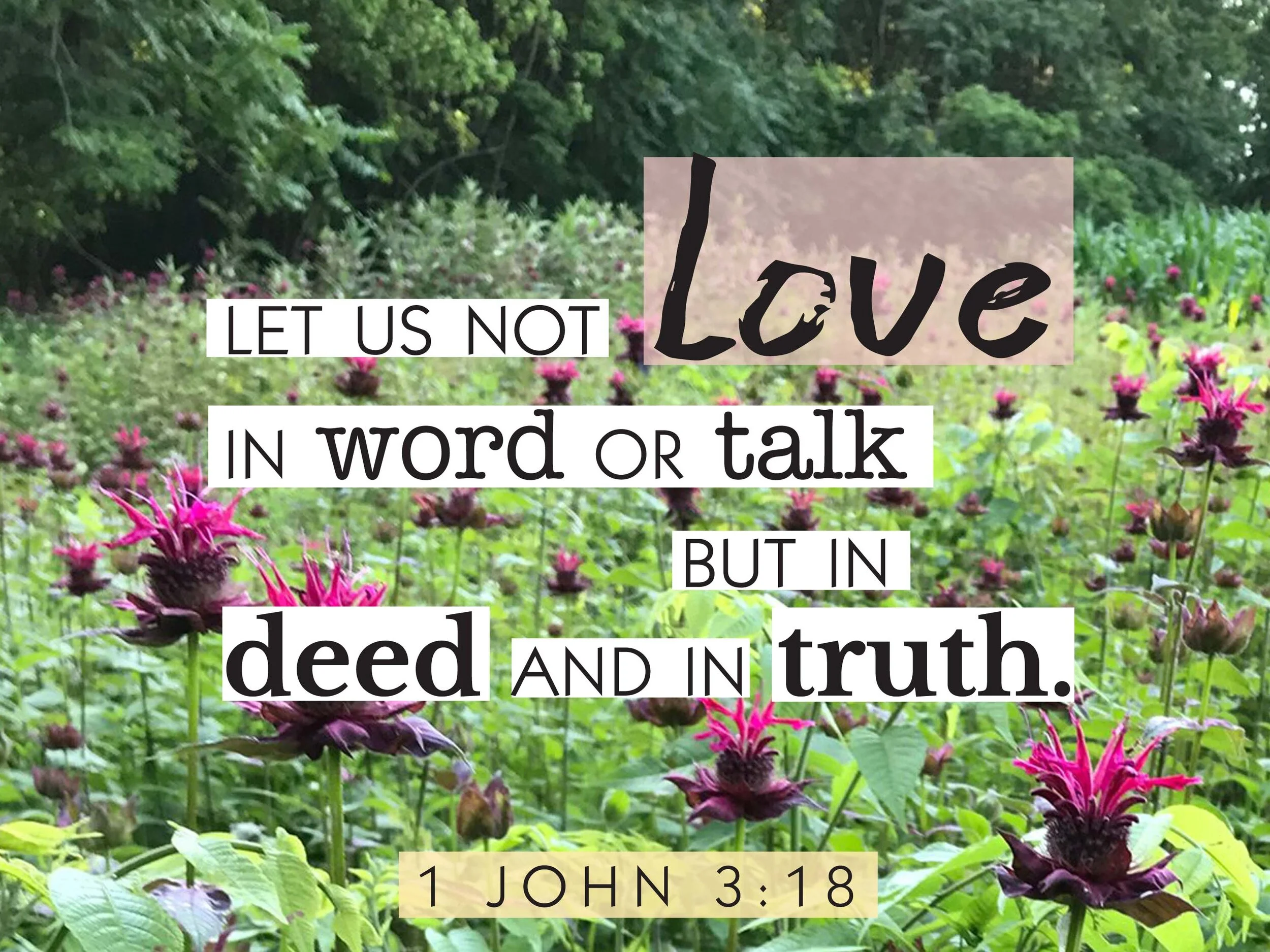 1 John 3 18 let us not live in word but in deed.jpg