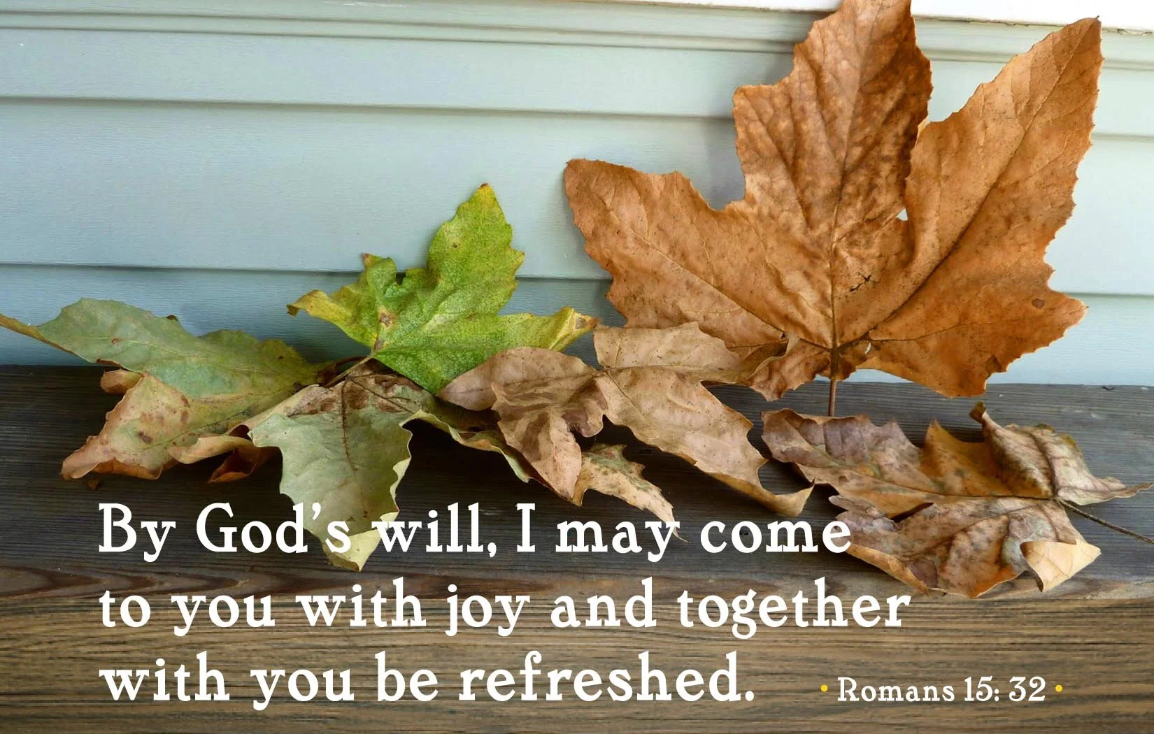 ... authentic growth &amp; renewal.