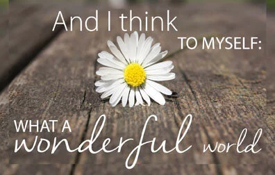 ... A Wonderful World