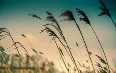 Be Still and Listen for God to Speak