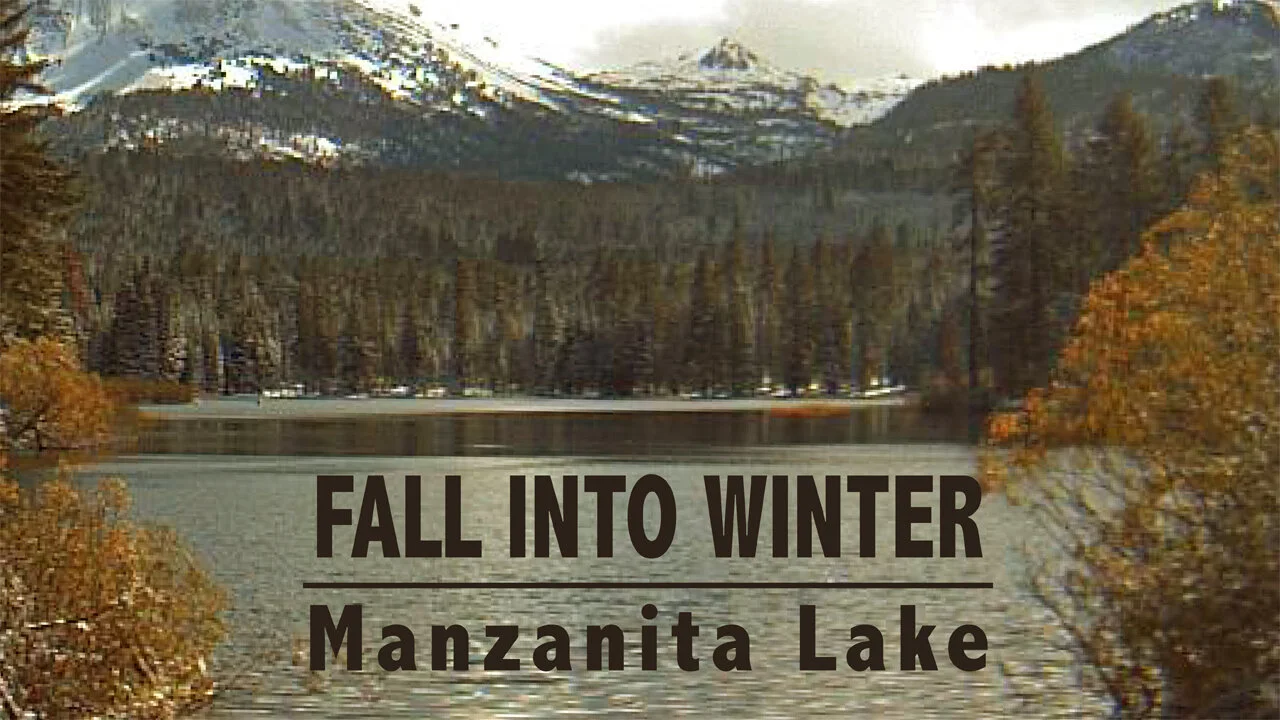 Fall Into Winter.jpg