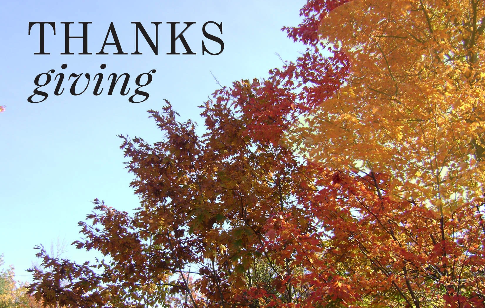 Thanks-Giving