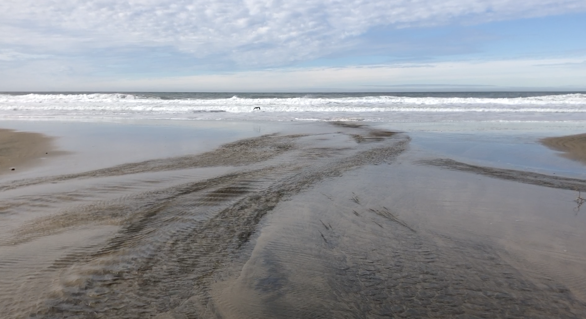 Sunday Morning at Pomponio Beach