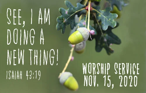 God Is Doing a New Thing—Stewardship, Part 2