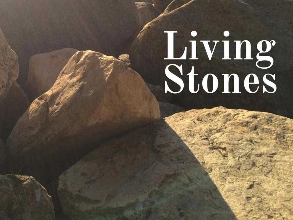The Priesthood of All Believers