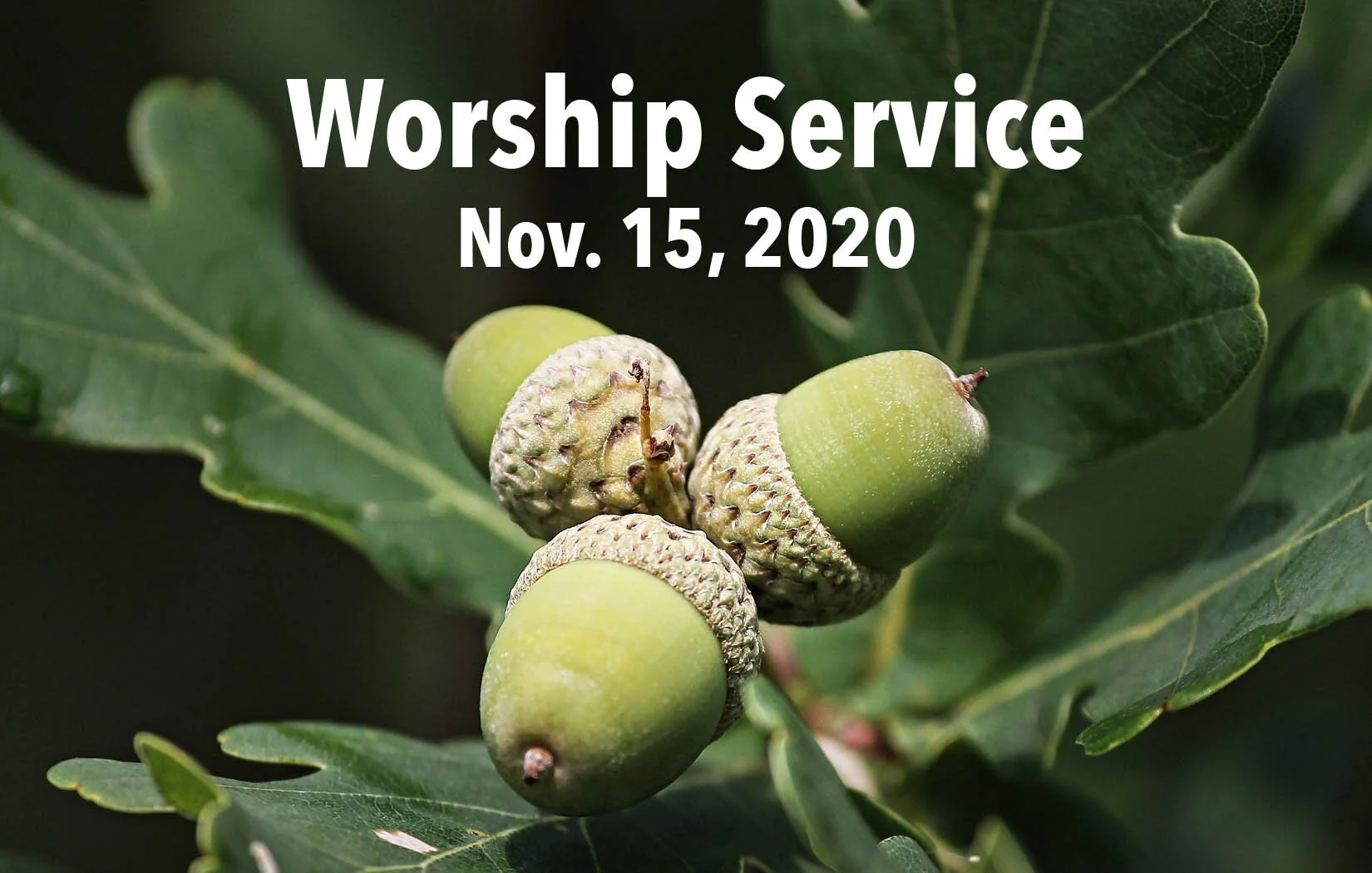 Sunday Service • November 15, 2020