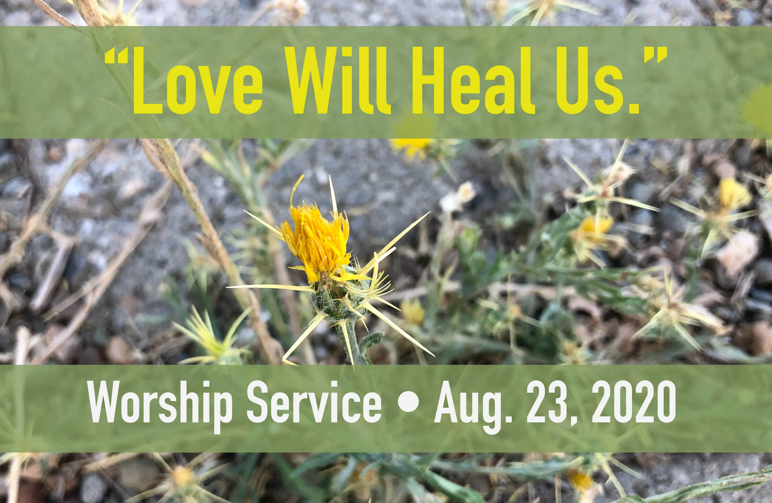 Love Will Heal Us