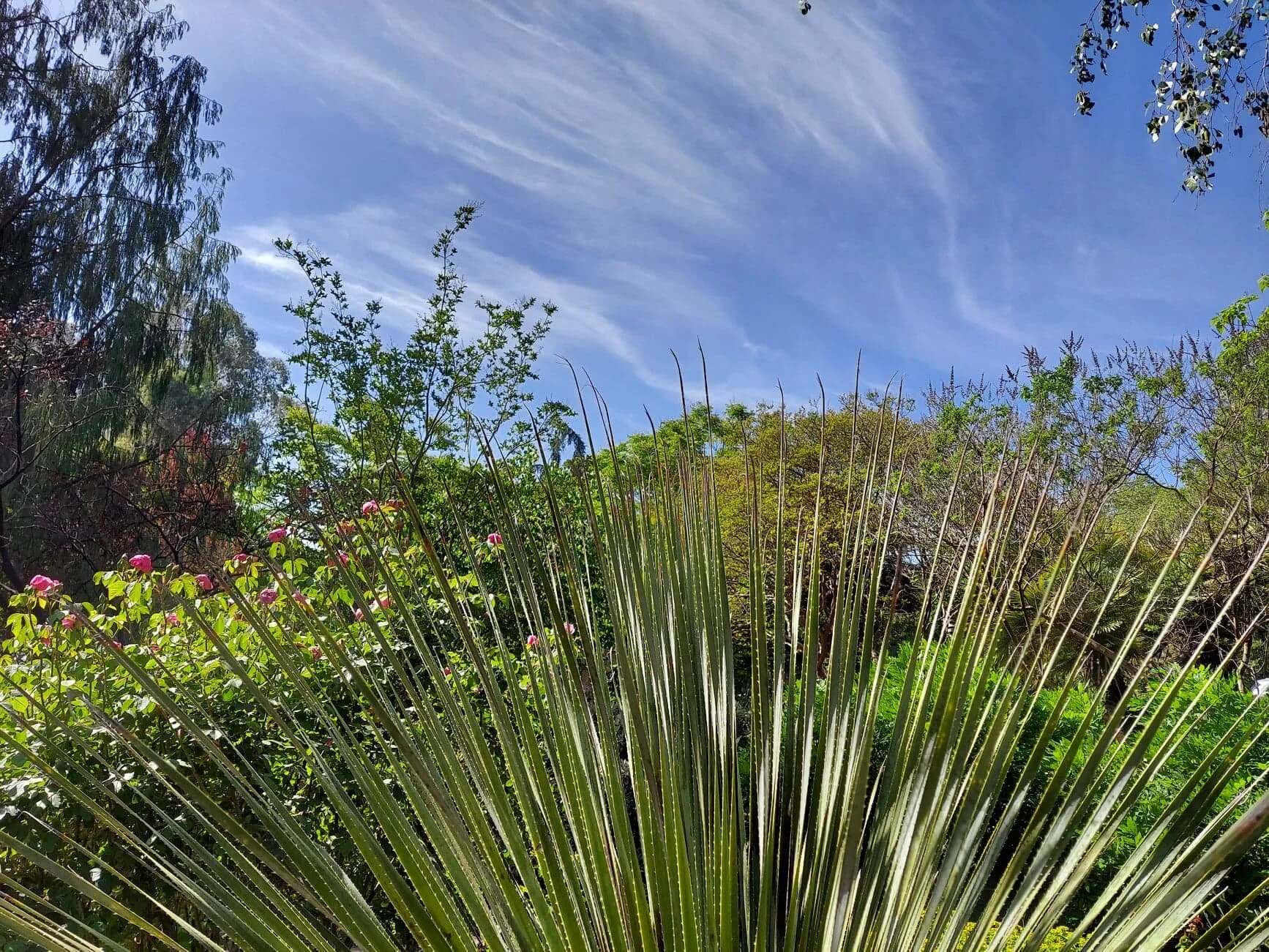 Growing in Discipleship