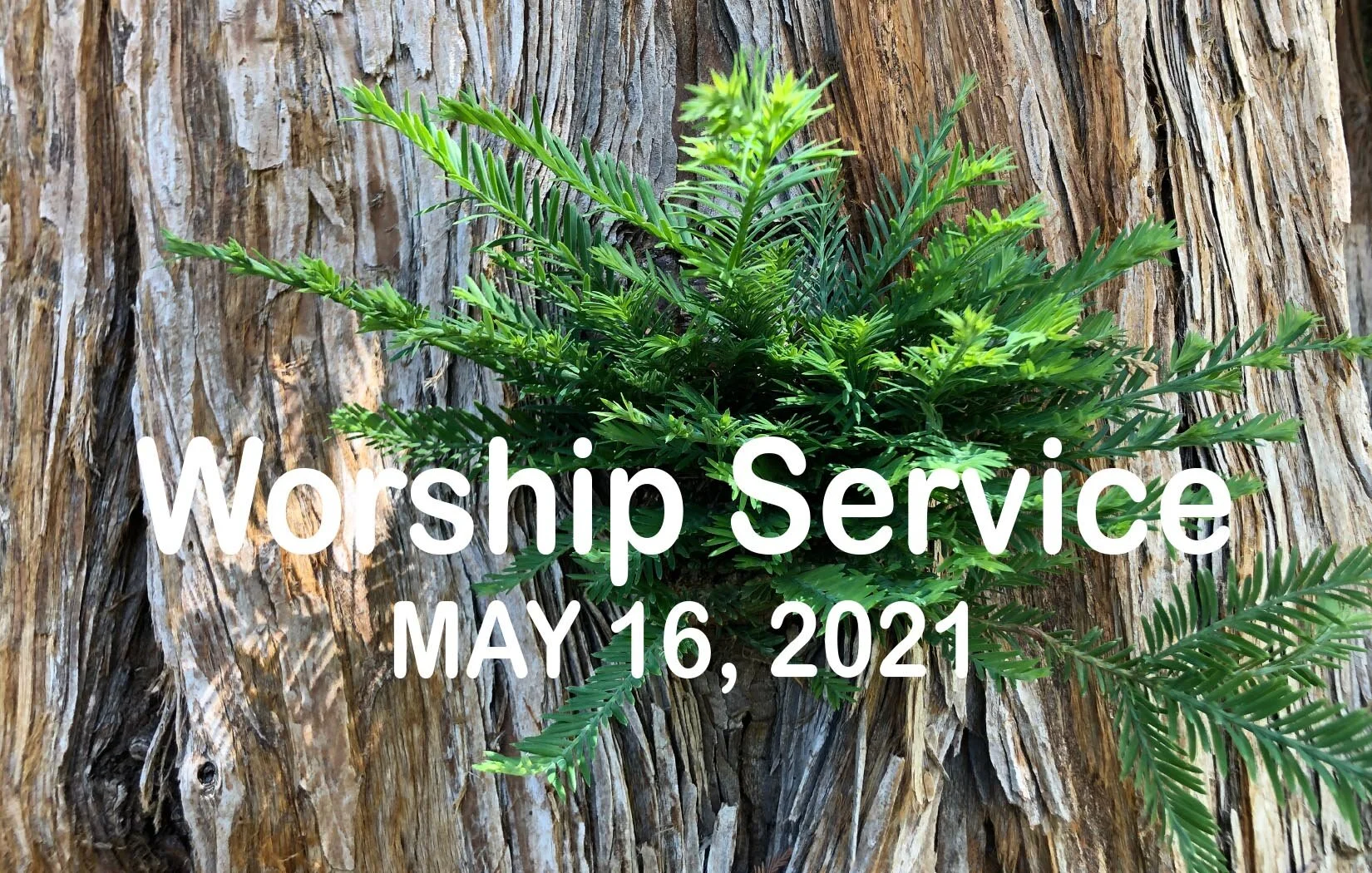 Worship Service - May 16, 2021